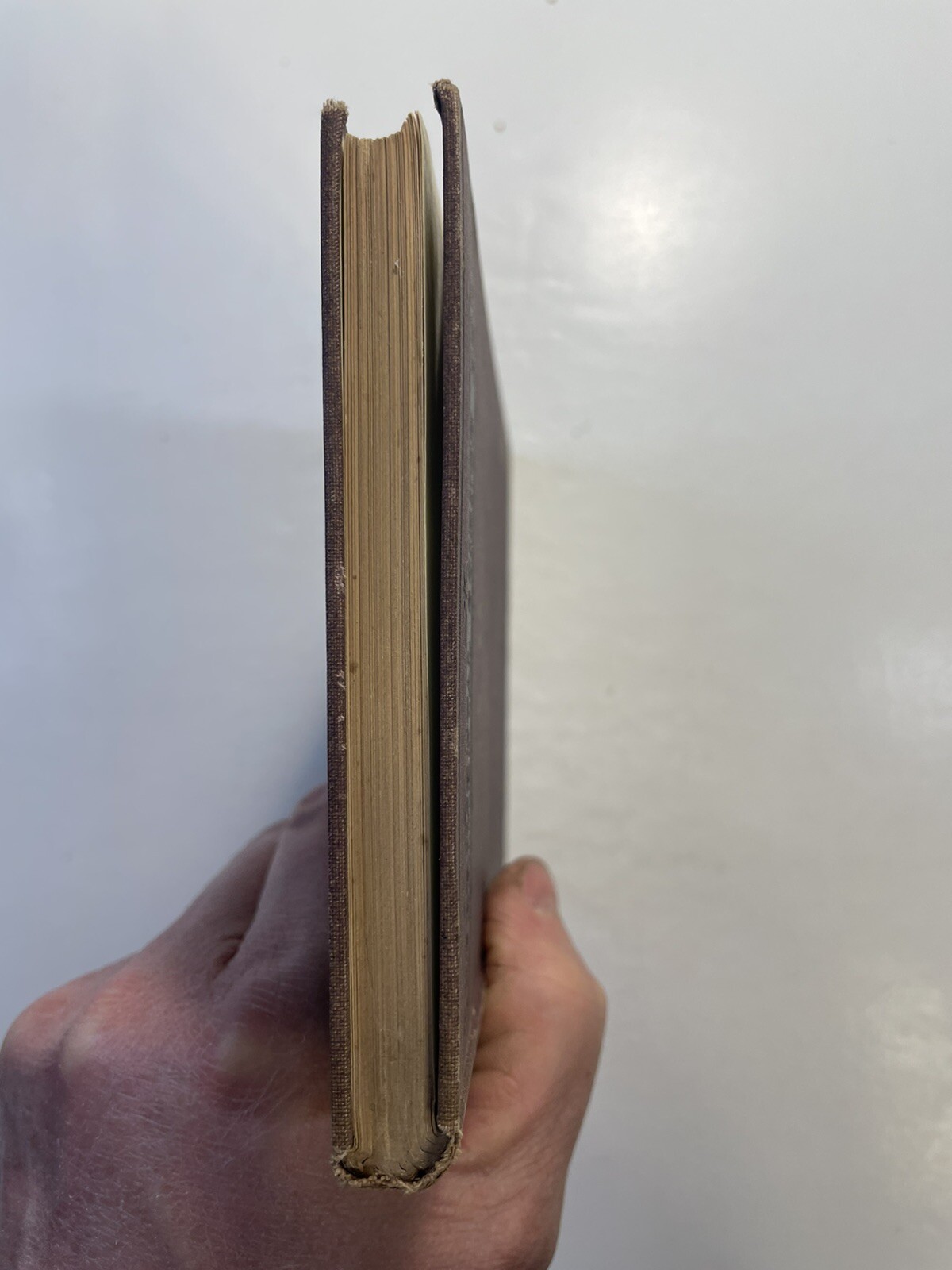 Light Mayer and Barnard D. Appleton and Company 1878 First Edition? Education
