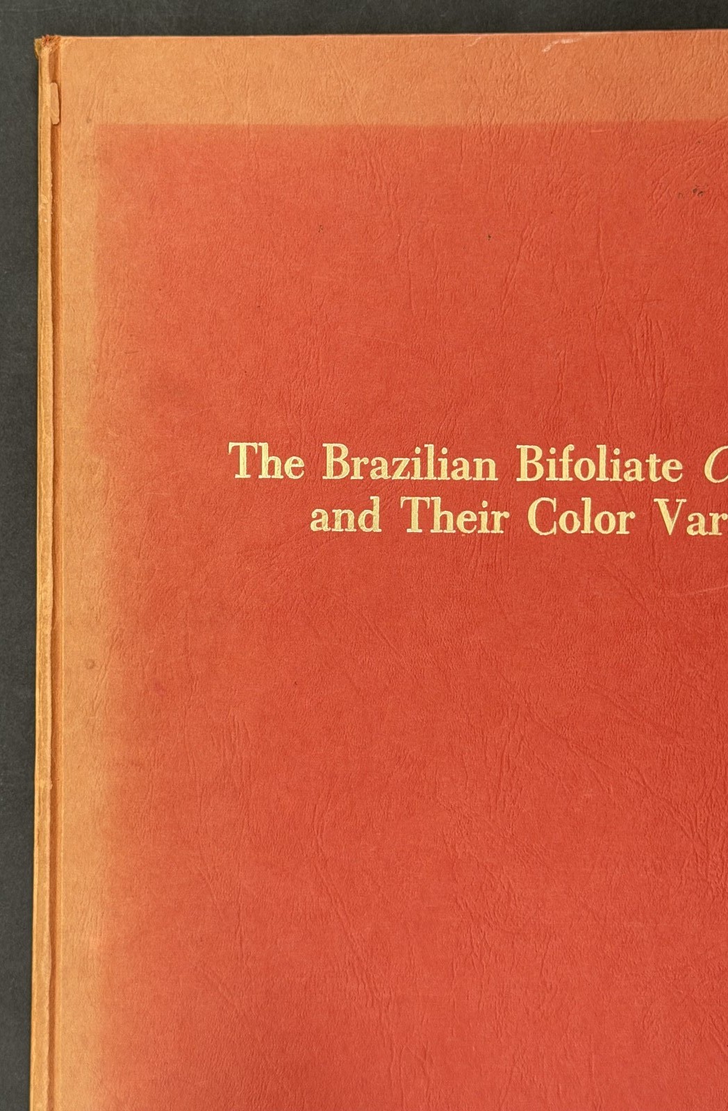Brazilian Bifoliate Cattleyas – Orchids, Flowers, Cultivation, Botany
