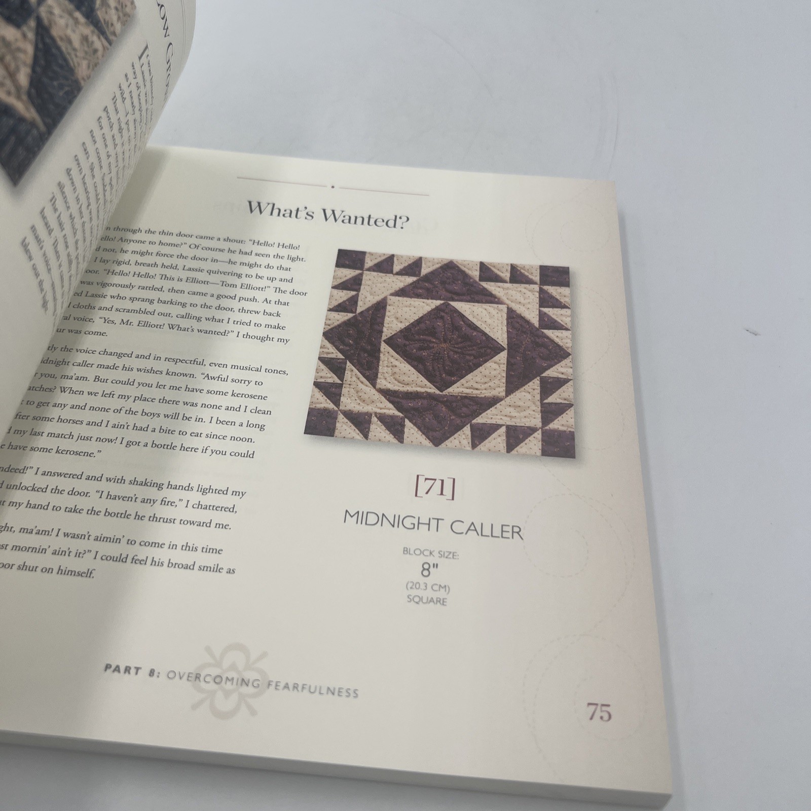 Farmer’s Wife Homestead Medallion Quilt : Letters from a 1910’s Pioneer Woman…