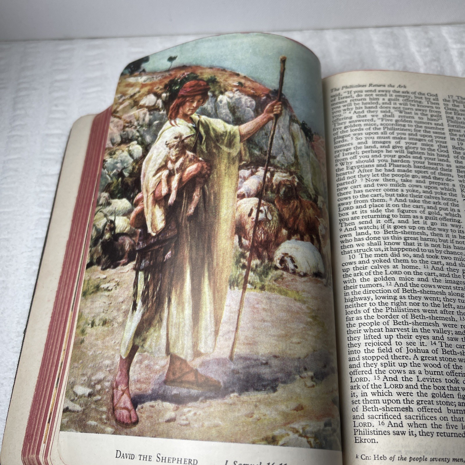 VTG 1953 Holy Bible RSV Nelson & Sons Genuine Leather Black Text + Illustrations