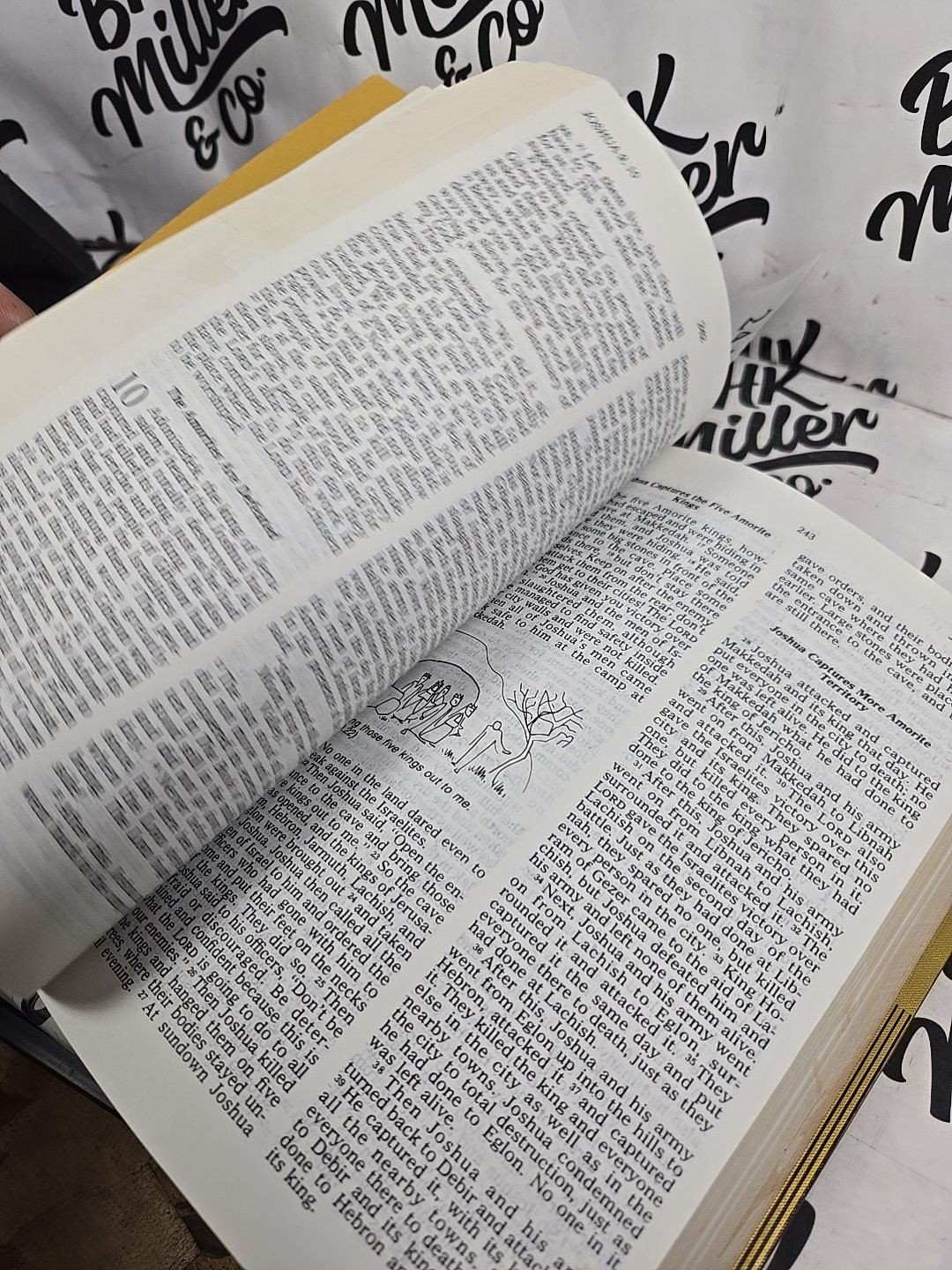 Good News New Testament Today’s Living Bible English Version 1976 Hardcover