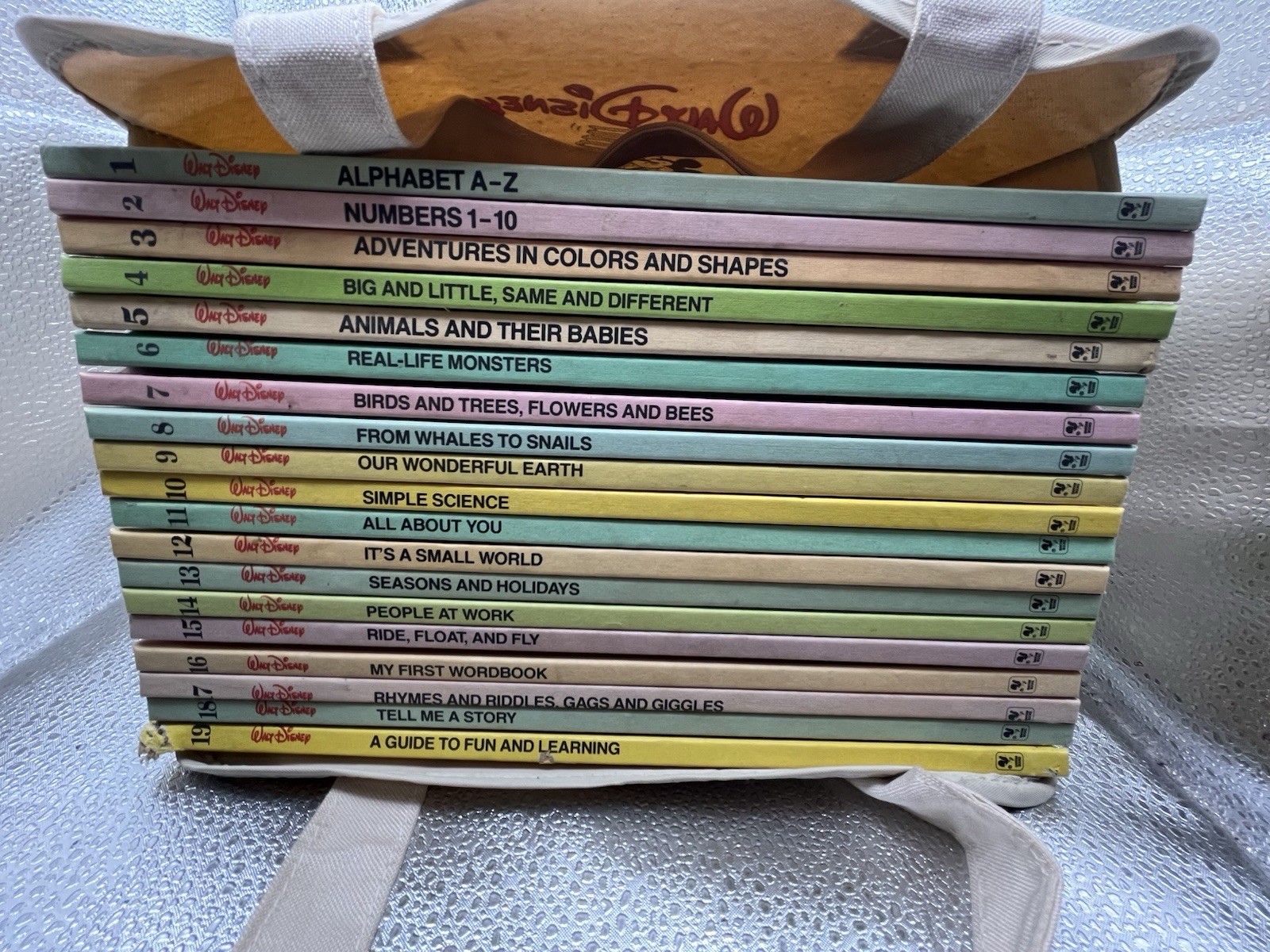 Walt Disney Fun-To-Learn Library 1-19 Complete Set Bantam Books Hardcover + Bag