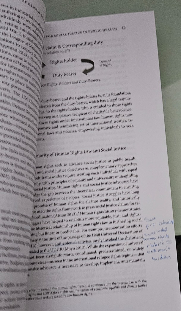 lawrence o gostin FOUNDATIONS OF GLOBAL HEALTH & HUMAN RIGHTS softcover