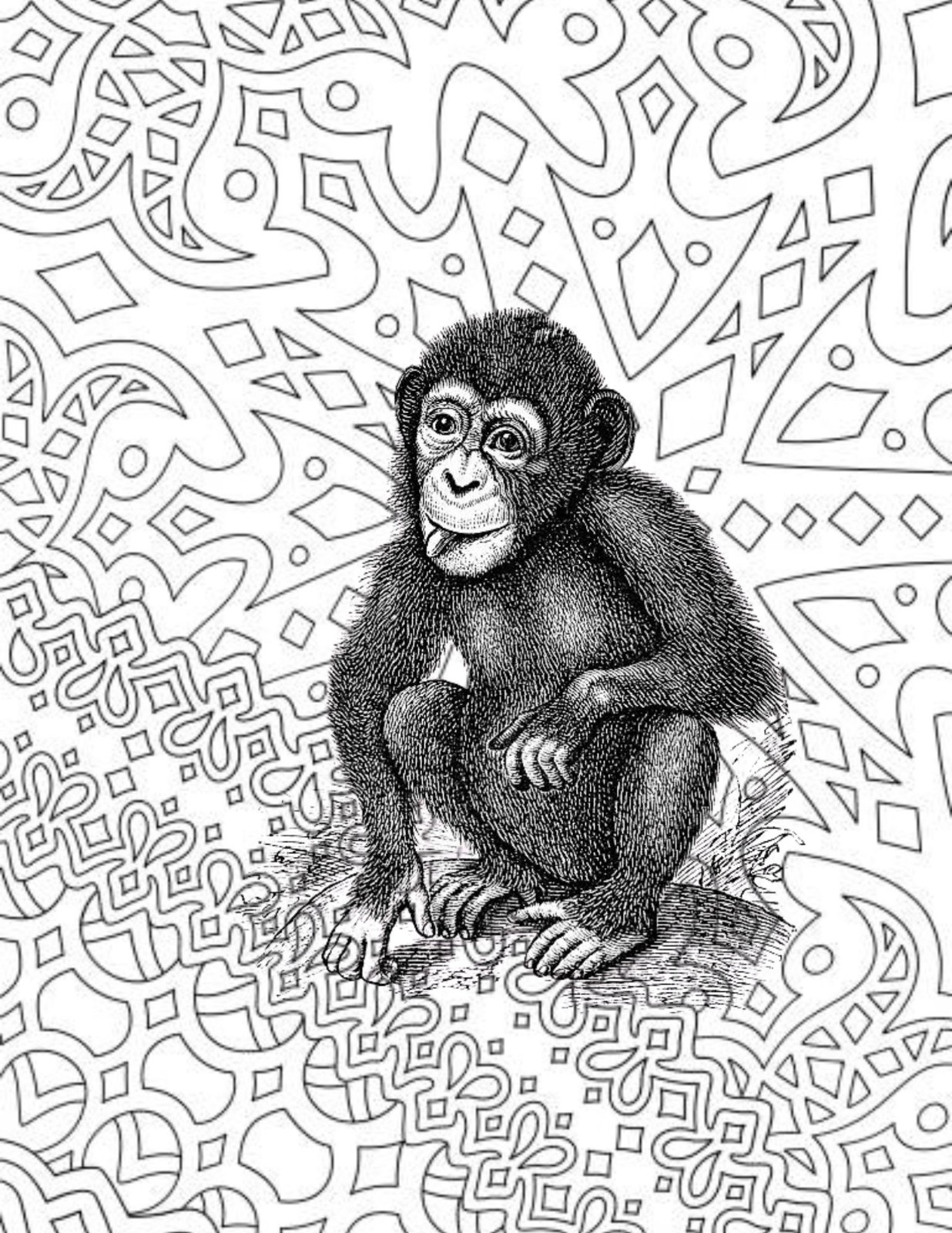 Save the primates Coloring book for Adults Teens 108 Pages 8.5 x 11 for All Ages