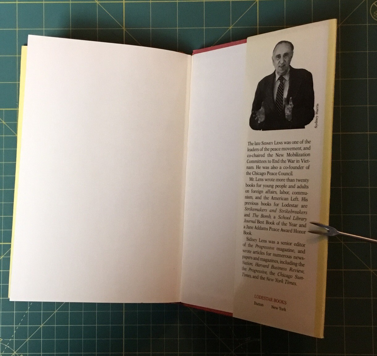 VIETNAM A WAR ON TWO FRONTS By Sidney Lens, 1990, 116 PAGES, Informative!