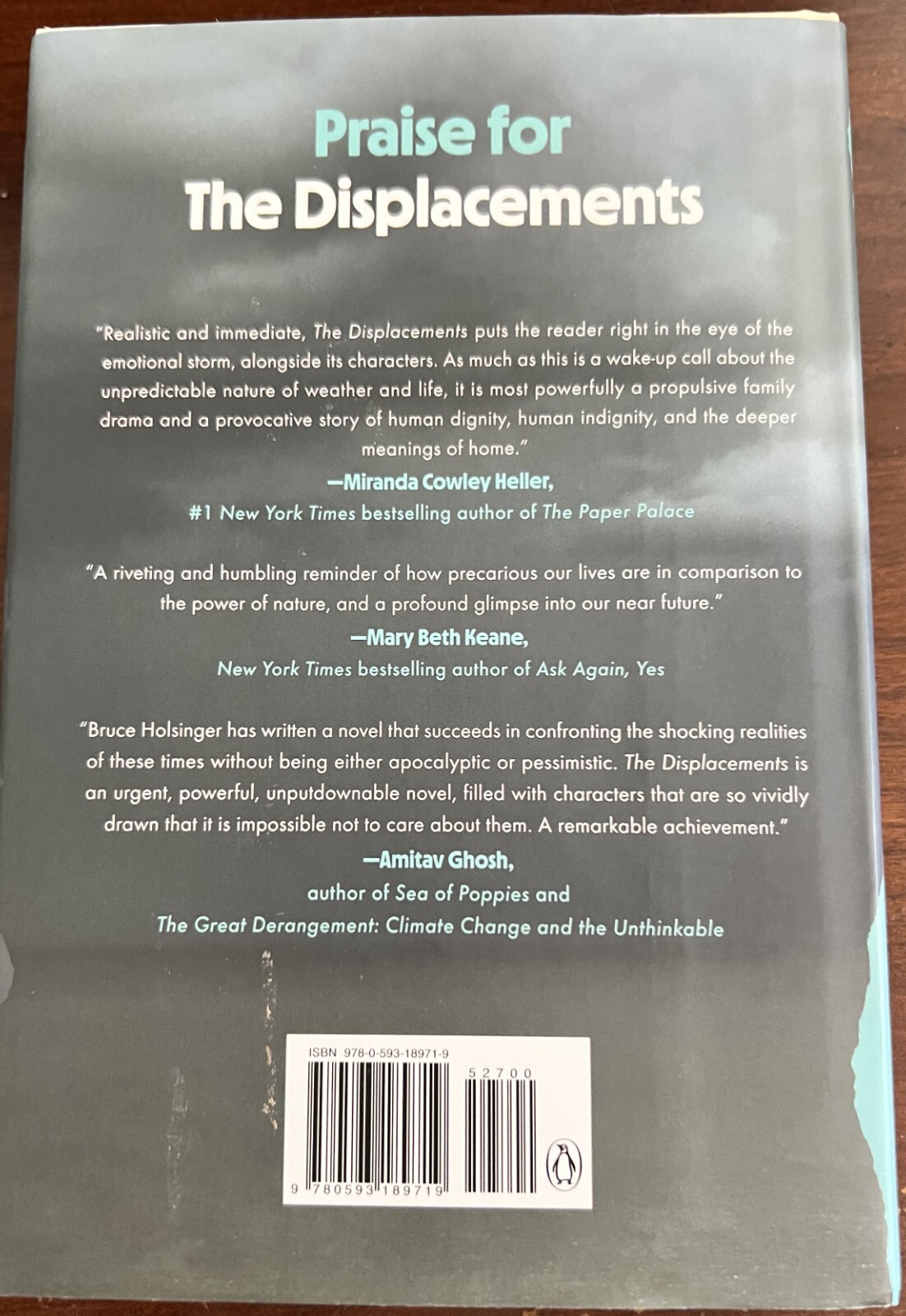 The Displacements : A Novel by Bruce Holsinger (2022, Hardcover)