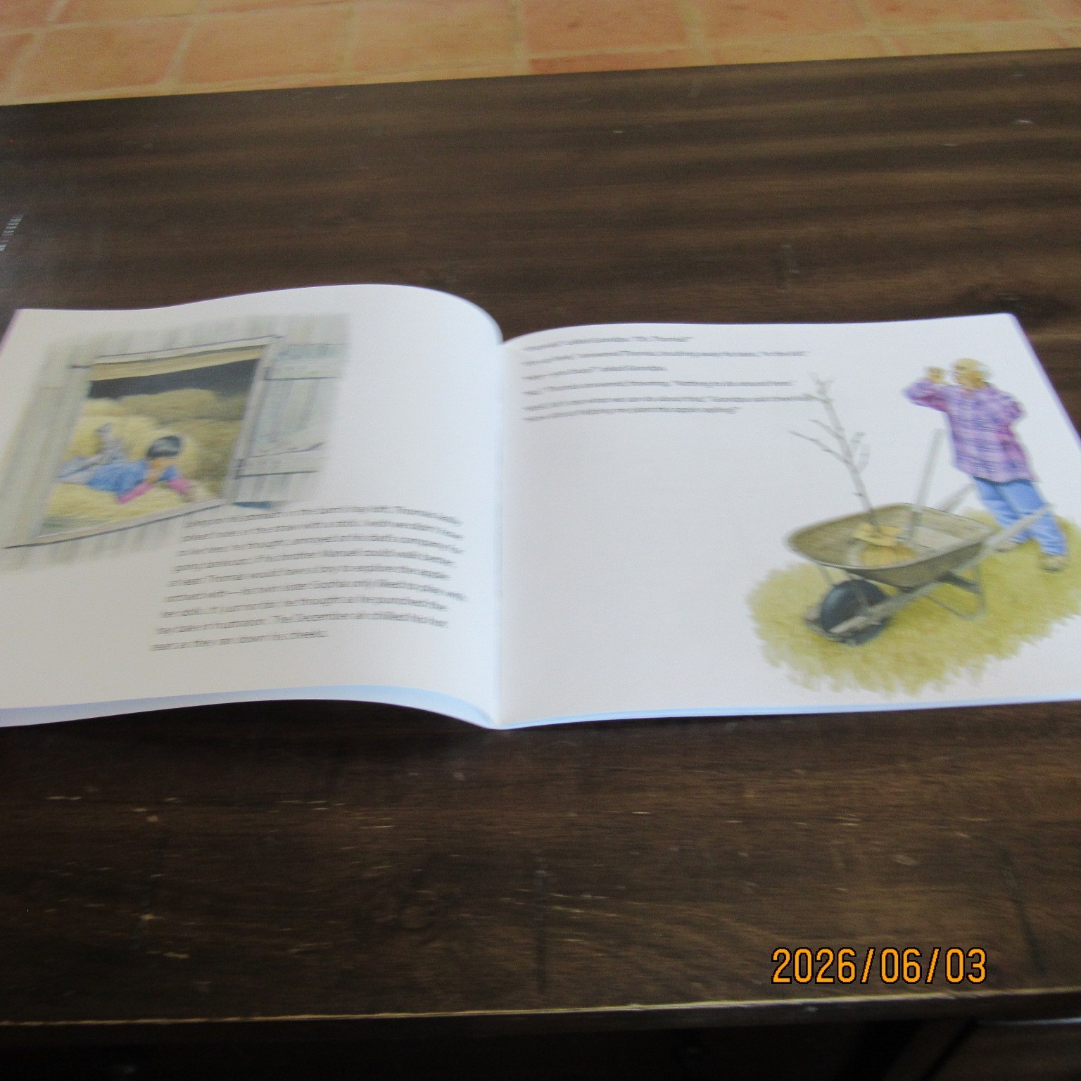 Lot 7-Seasons of Faith-CBH Ministries-Children’s Bible Hour PB Books-CDs-2010’s