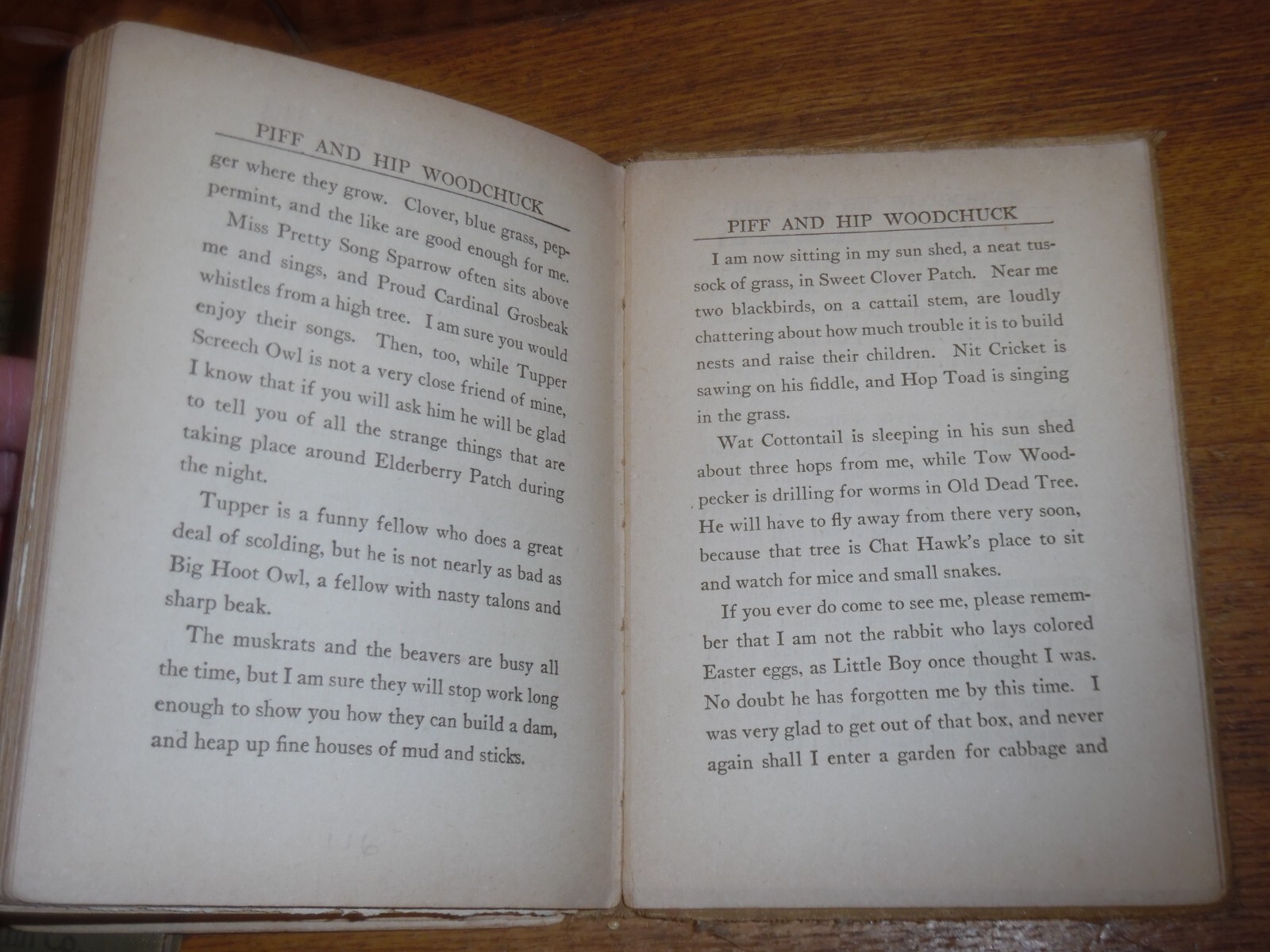 Antique 1916 Platt & Nourse Book – The Story Of Piff Cottontail – Burton Stoner