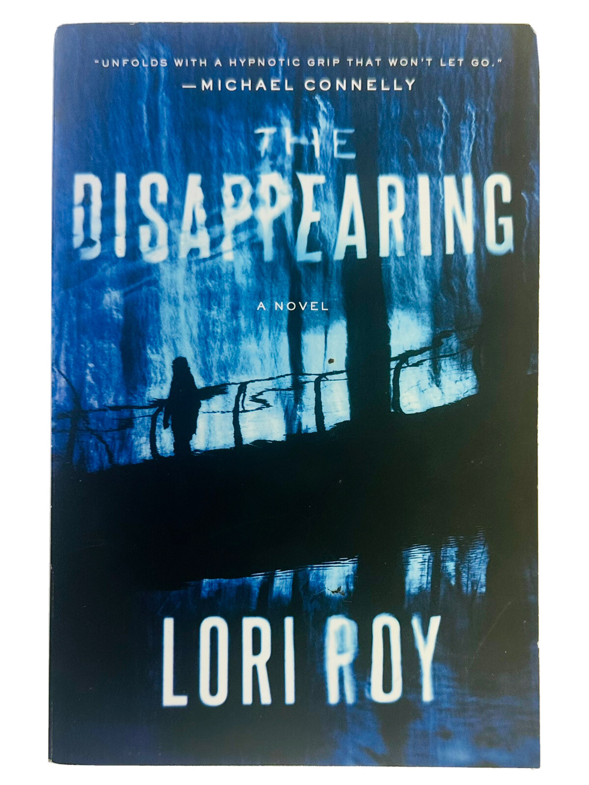 The Disappearing : A Novel by Lori Roy (2019, Trade Paperback)