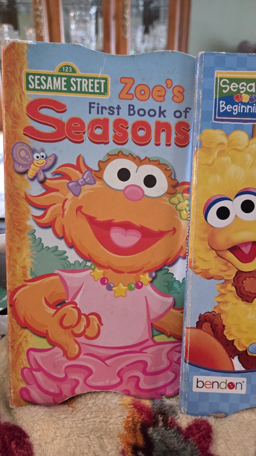 Lot Of Sesame Street Books