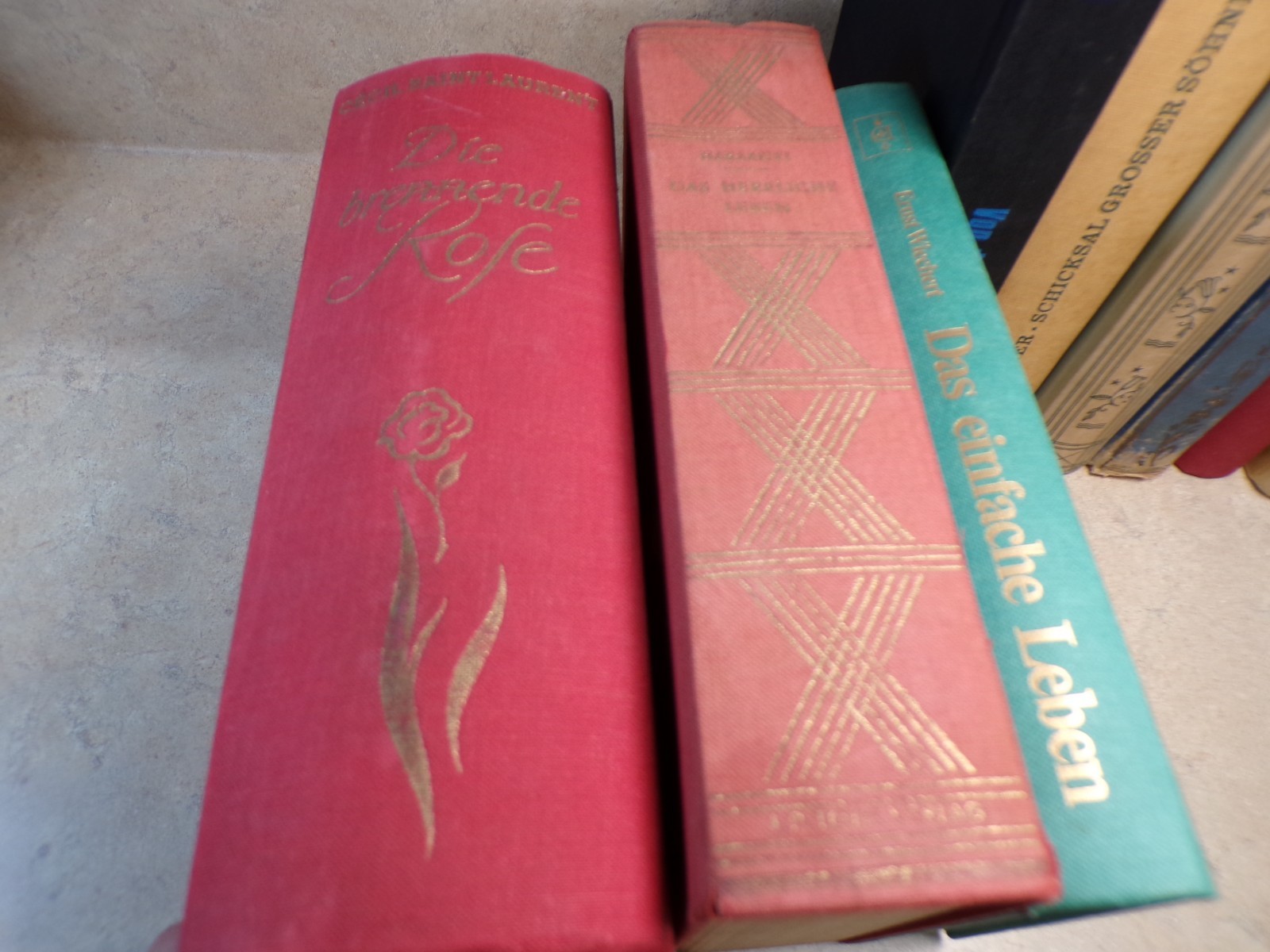Lot of 17 Vintage German Books Bulk Lot Hardcovers Multicolored