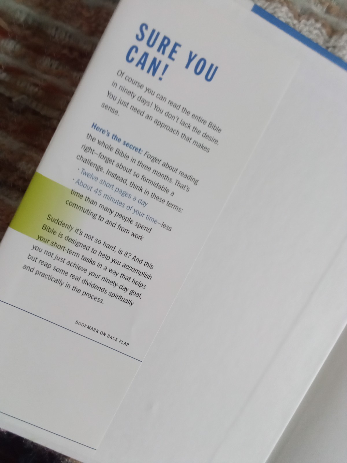 The Bible in 90 Days: Cover to Cover in 12 Pages a Day (New International – GOOD