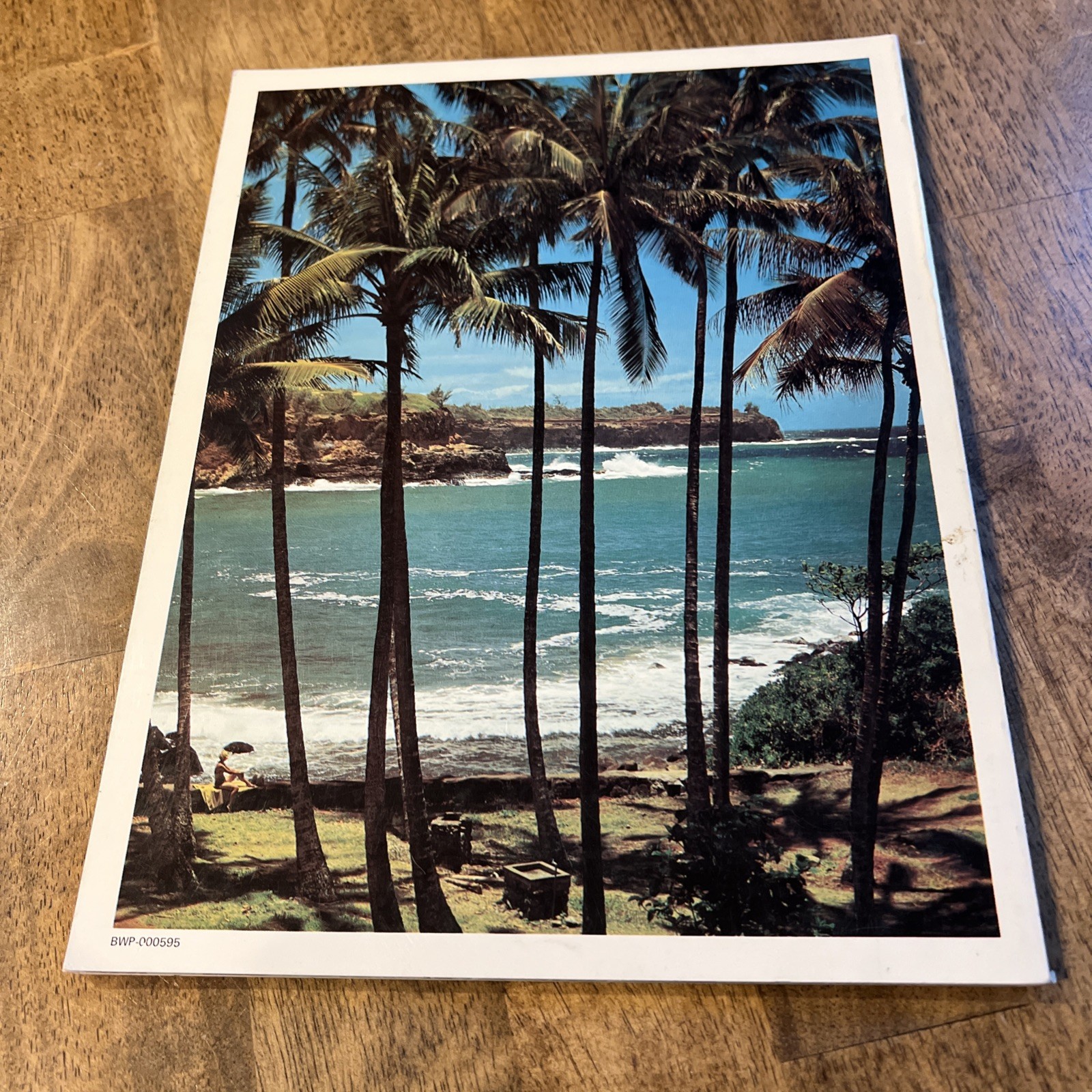 Hawaiian Photography Book David Muench & Ray Atkeson 1977 – EXCELLENT CONDITION