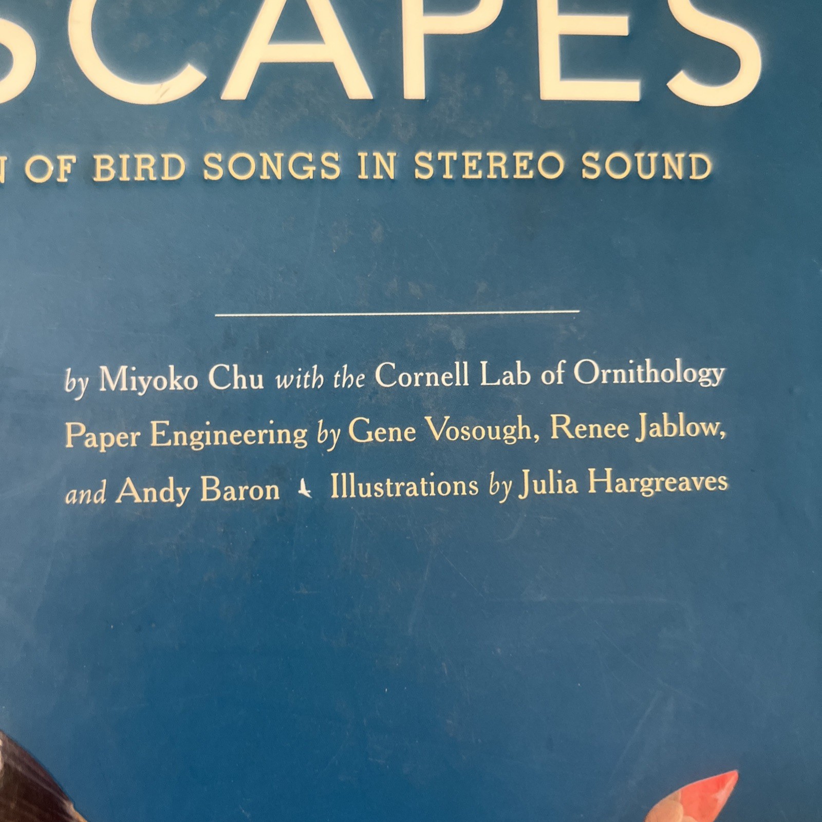 Birdscapes Pop Up Book Cornell Lab Miyoko Chu 2008 WORKING SOUND Birdsongs Audio