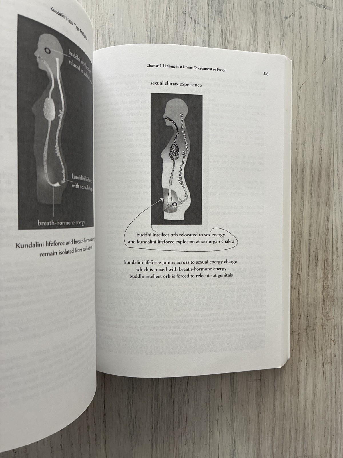 Kundalini Hatha Yoga Pradipika by Michael Beloved Body Posture Sanskrit Text SC