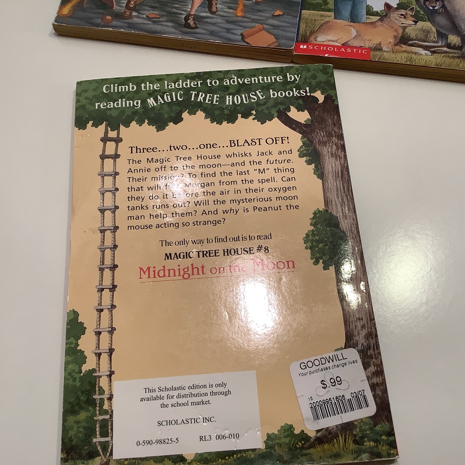 Magic Tree House box set 1-4 + various books 8, 13, 20, 21