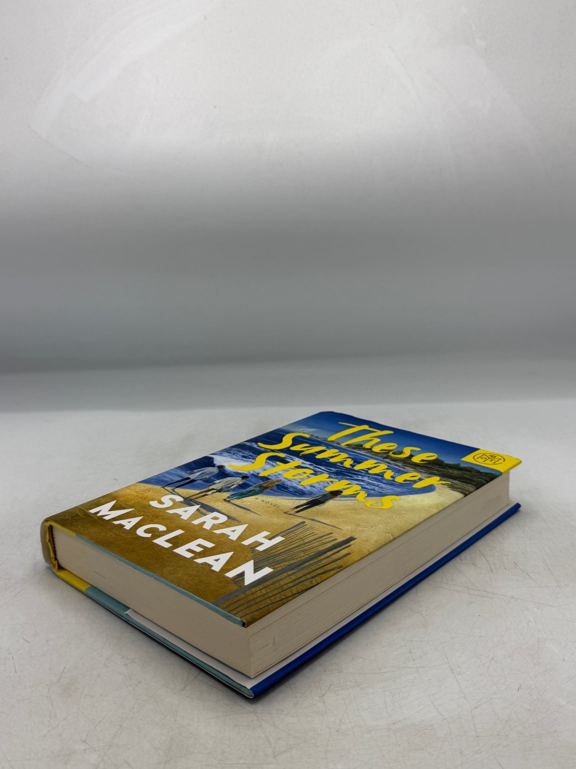 These Summer Storms Sarah MacLean 2025 Novel Book of the Month Hardcover