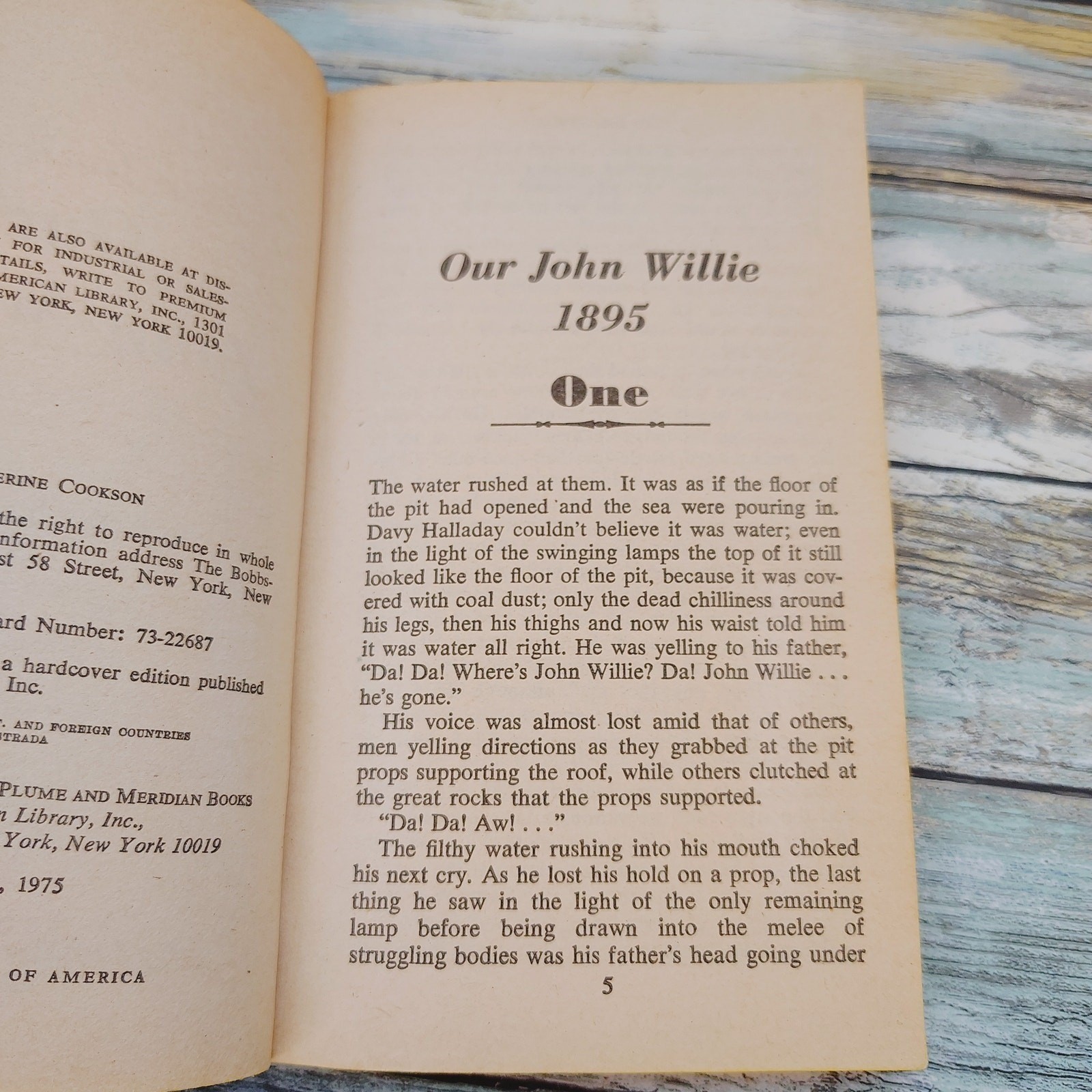 Our John Willie Catherine Cookson 1975 Vintage Paperback – Bookworm FLAW