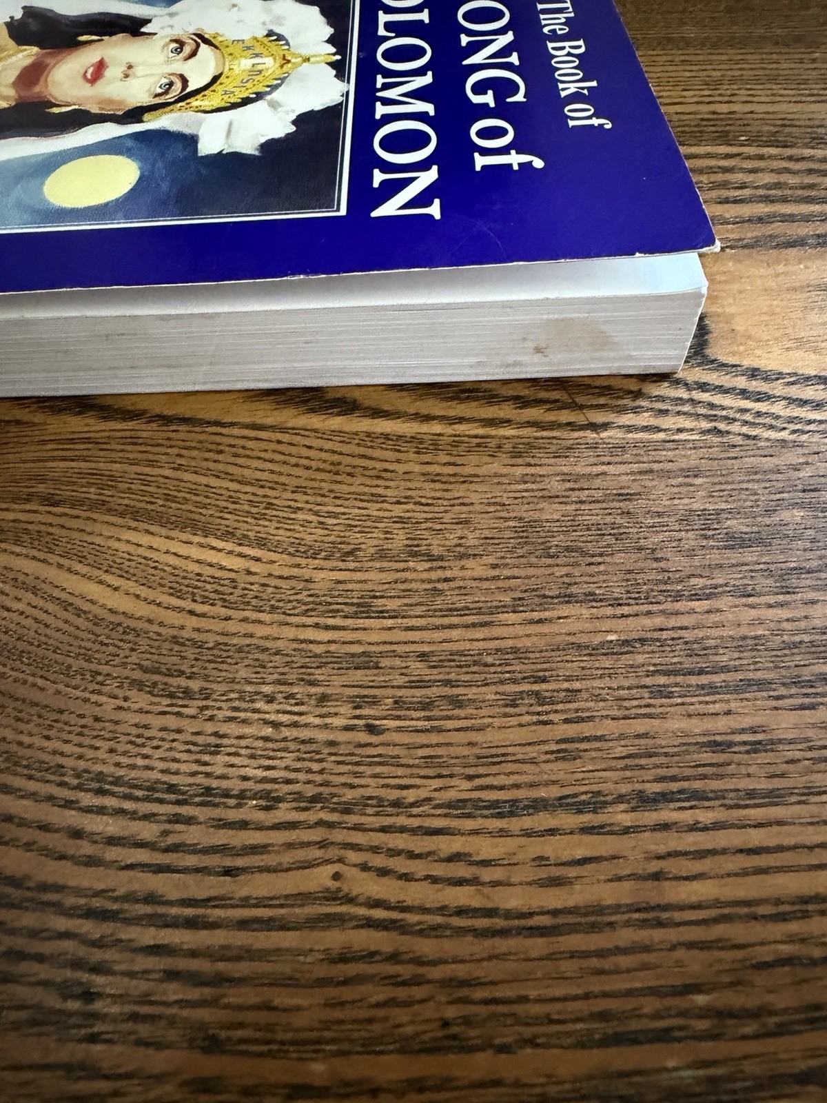 Peter S. Ruckman The Book of Song of Solomon Commentary Paperback (English)