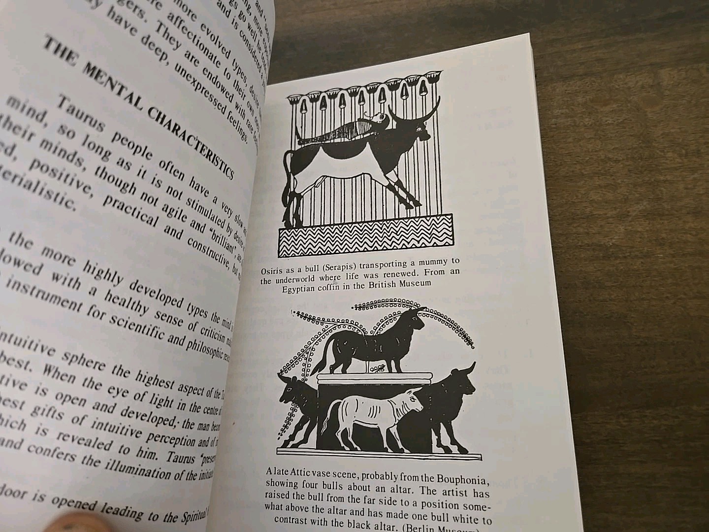 Taurus Astrology Guide Personality & Soul Characteristics. Paperback 72 Pages