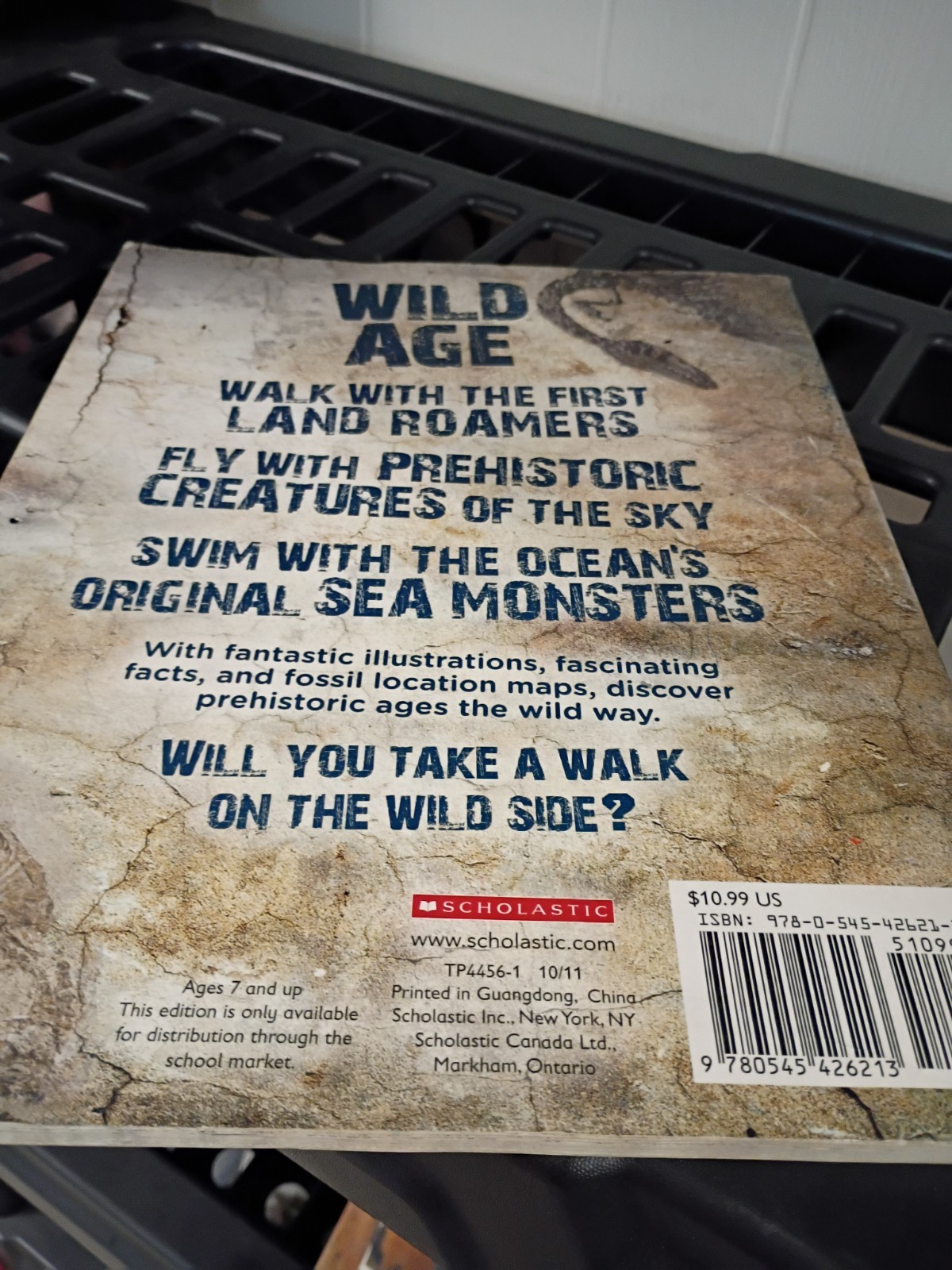 Wild Age Discover The Prehistoric World Paperback 9×12 Inches Book