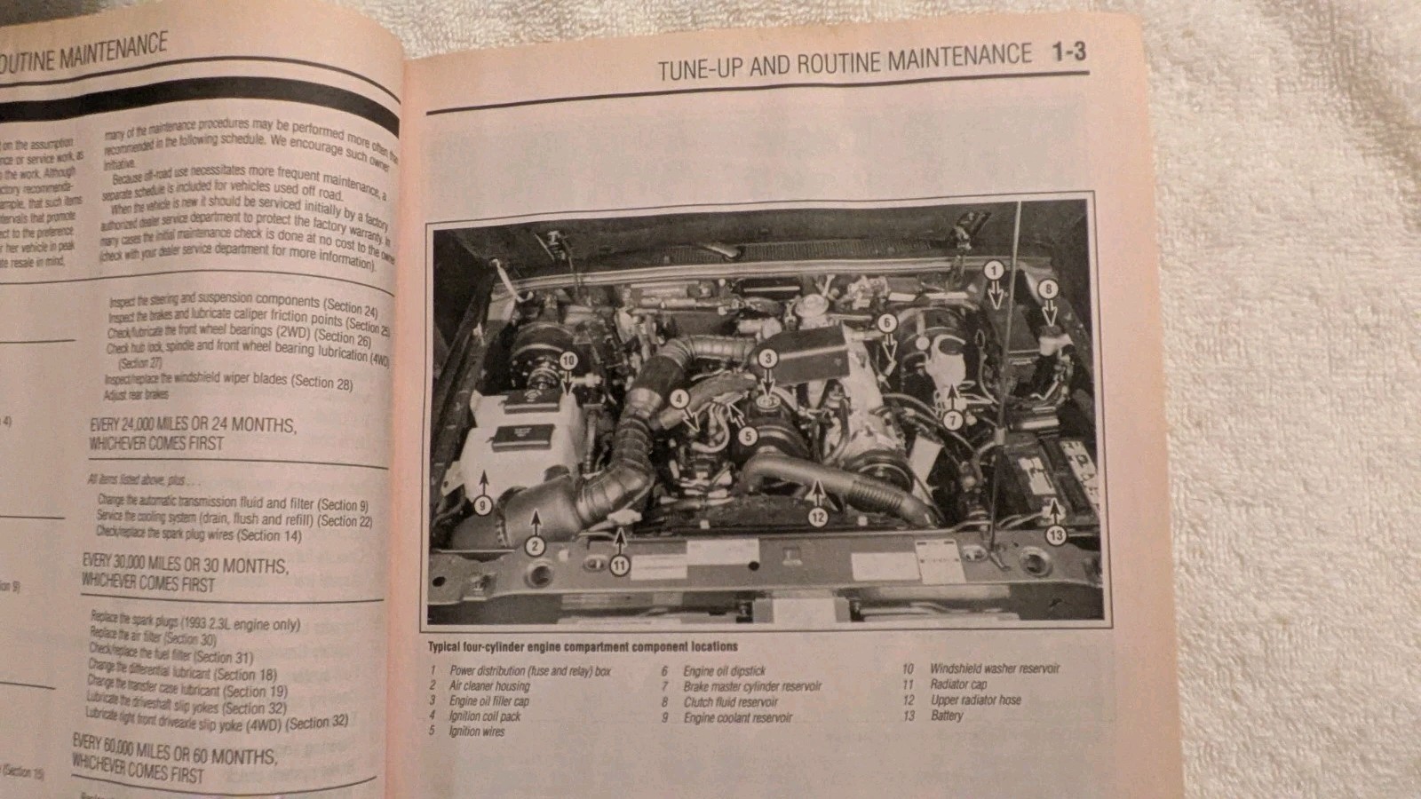 CHILTON FORD RANGER PICK-UPS 2000-2005 REPAIR MANUAL, 2007, PB, Mechanical
