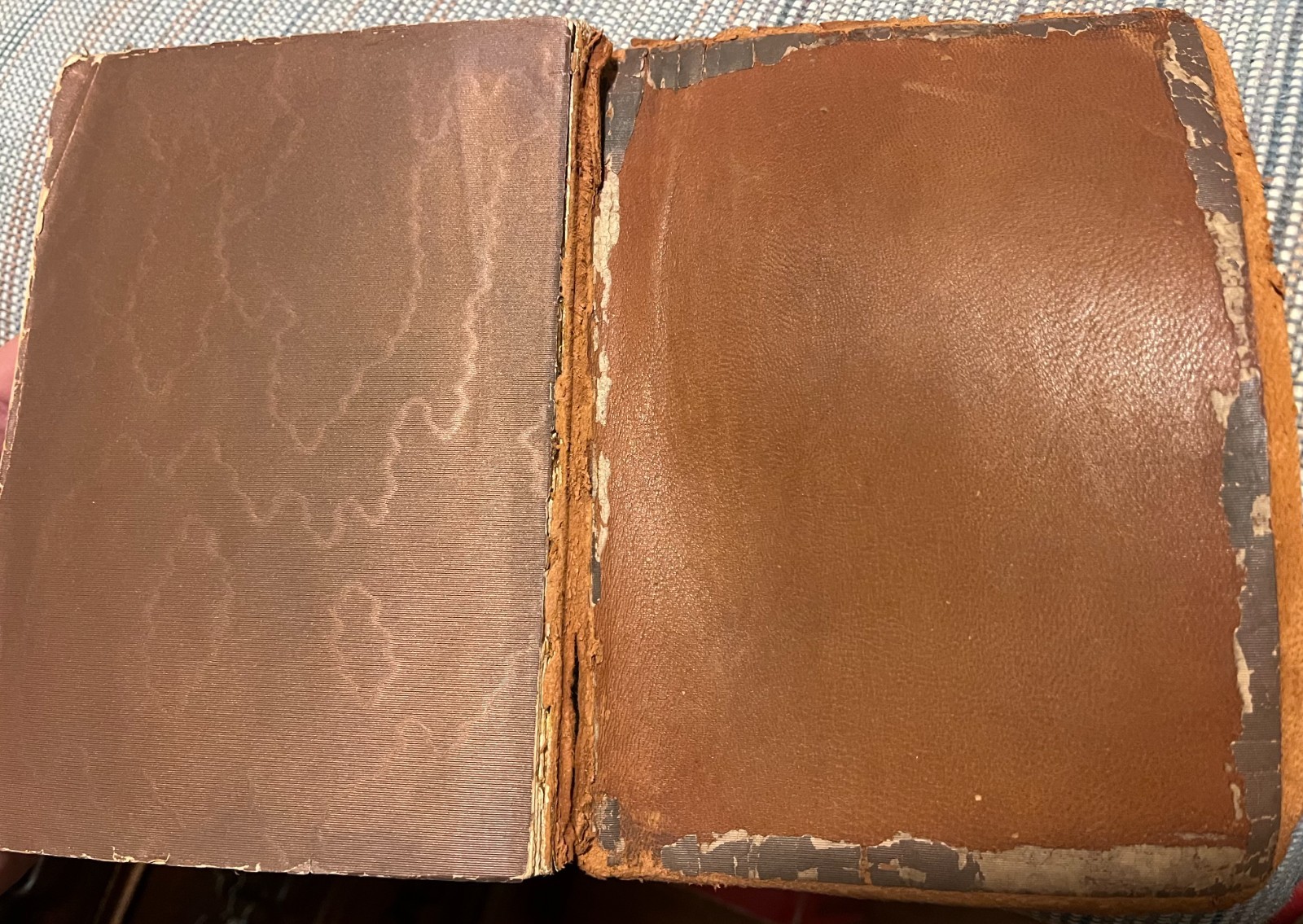From Day to Day with the Brownings, Wallace & Frances Rice [Soft Leather Bound]