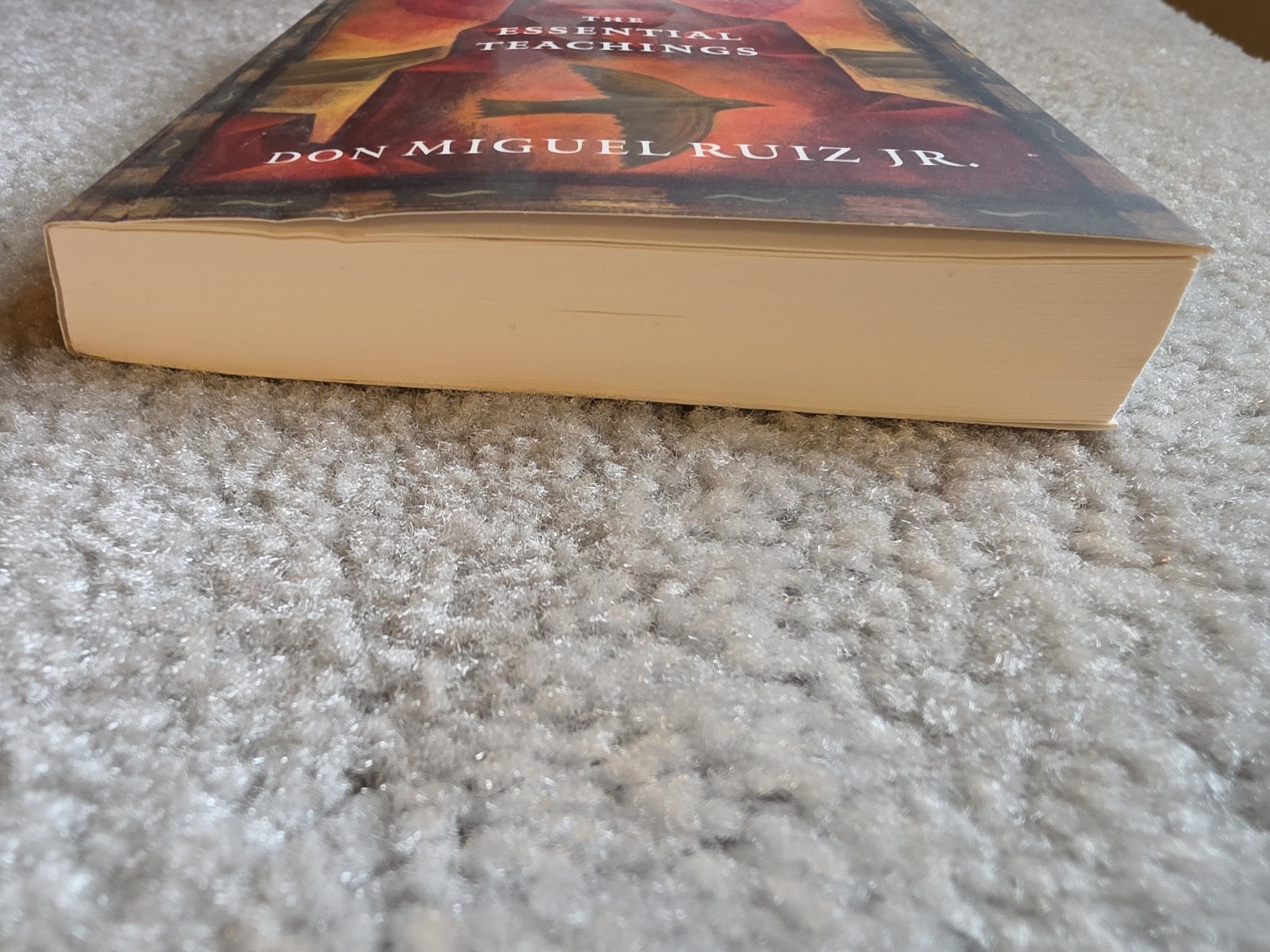 Don Miguel Ruiz Jr. Little Book of Wisdom Essential Teachings Toltec First Print