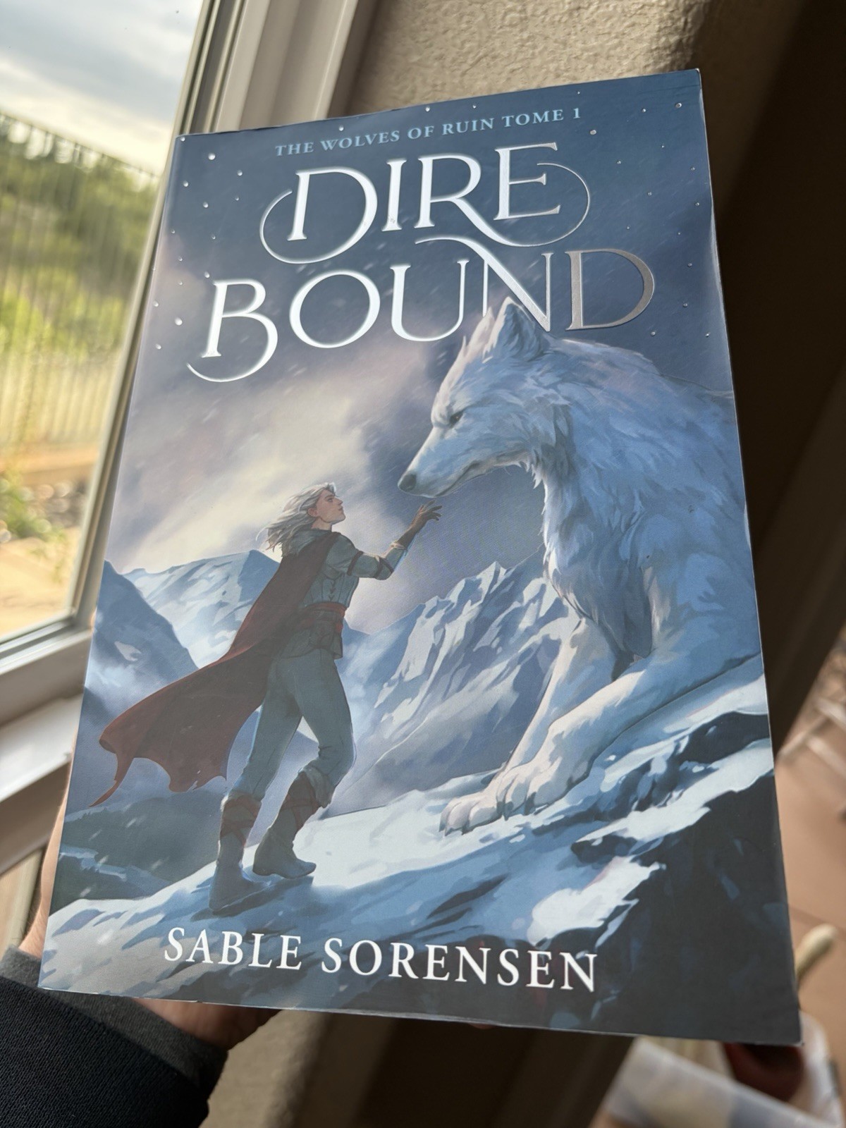 Dire Bound (Deluxe Limited Edition) by Sable Sorensen (2026, Paperback)