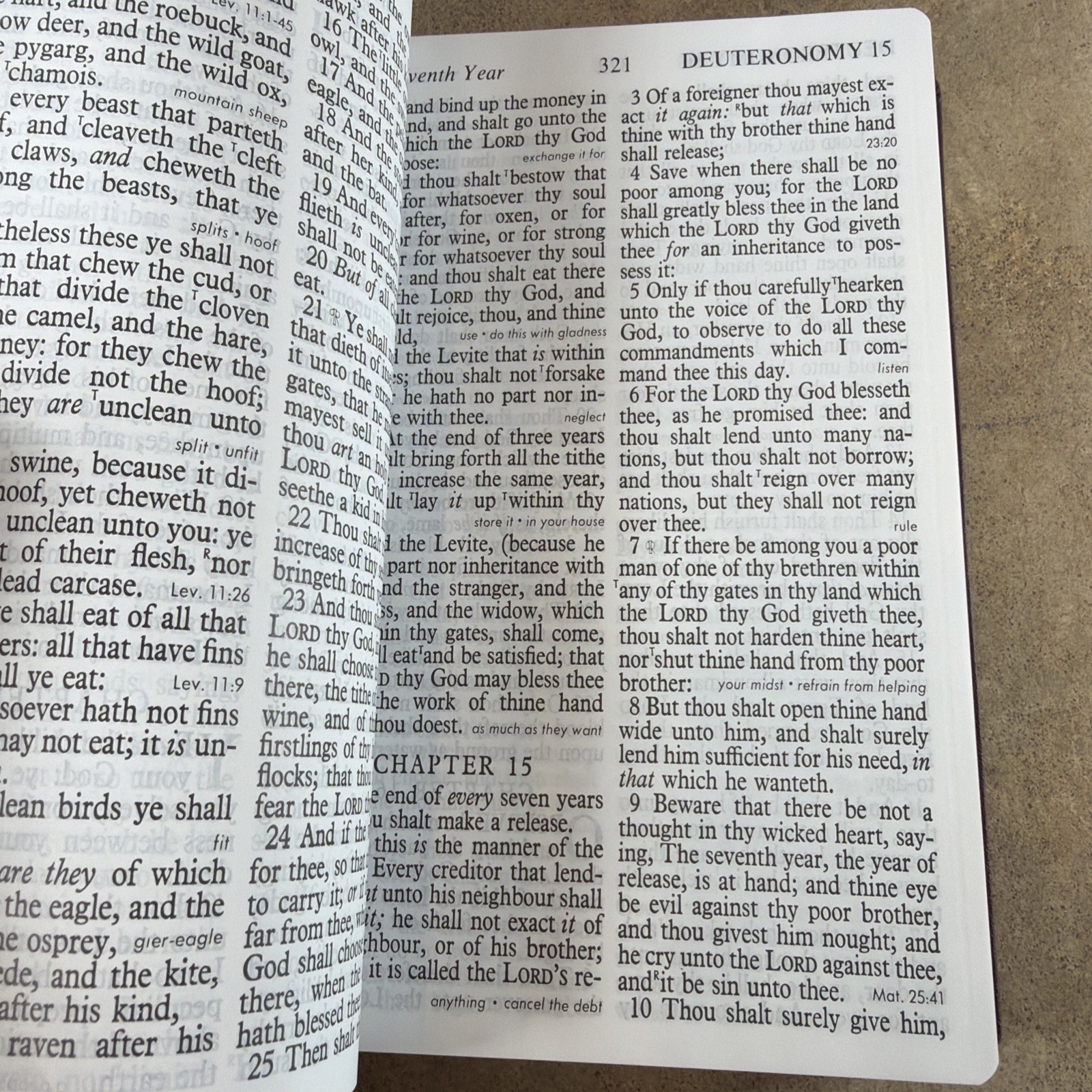 Thomas Nelson King James Holy Bible Giant Print Soft Leather KJV Brown