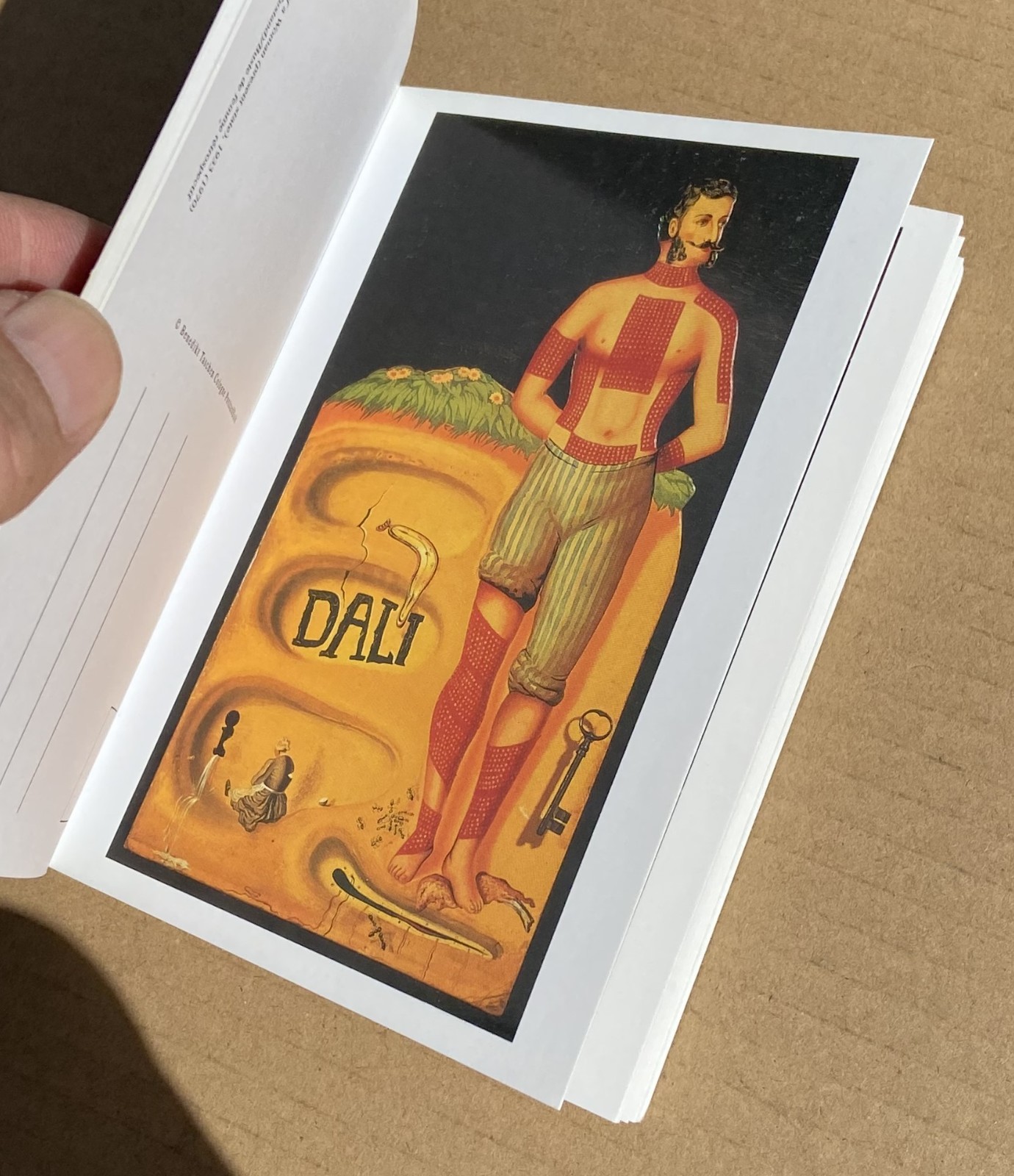 SALVADOR DALI 30 Postcards Postcard Booklet Book