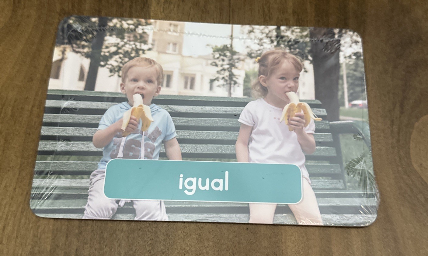 Scholastic Pre K On My Way Espanol Spanish Theme 1,3,8 Teaching Guide Vocabulary