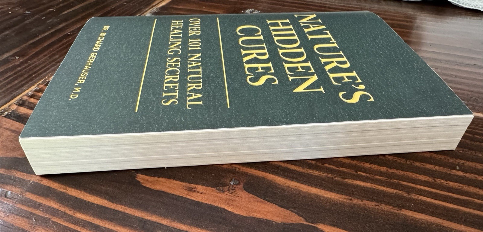 Nature’s Hidden Cures: Over 101 Natural Healing Secrets by Gerhauser PB 2024 NEW