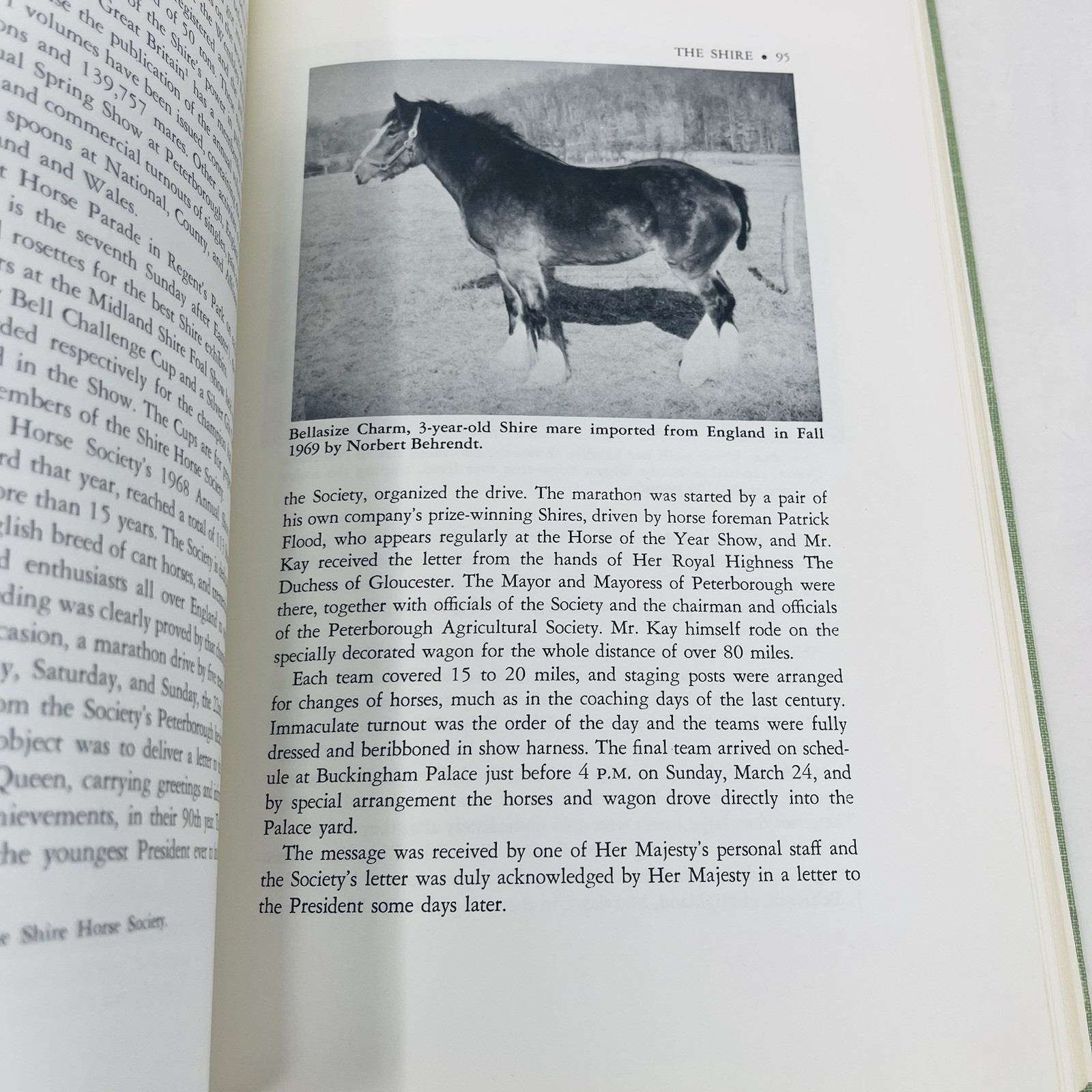 Gentle Giants Story of Draft Horses Stanley M. Jepsen 1973 HC 2nd Print Photos