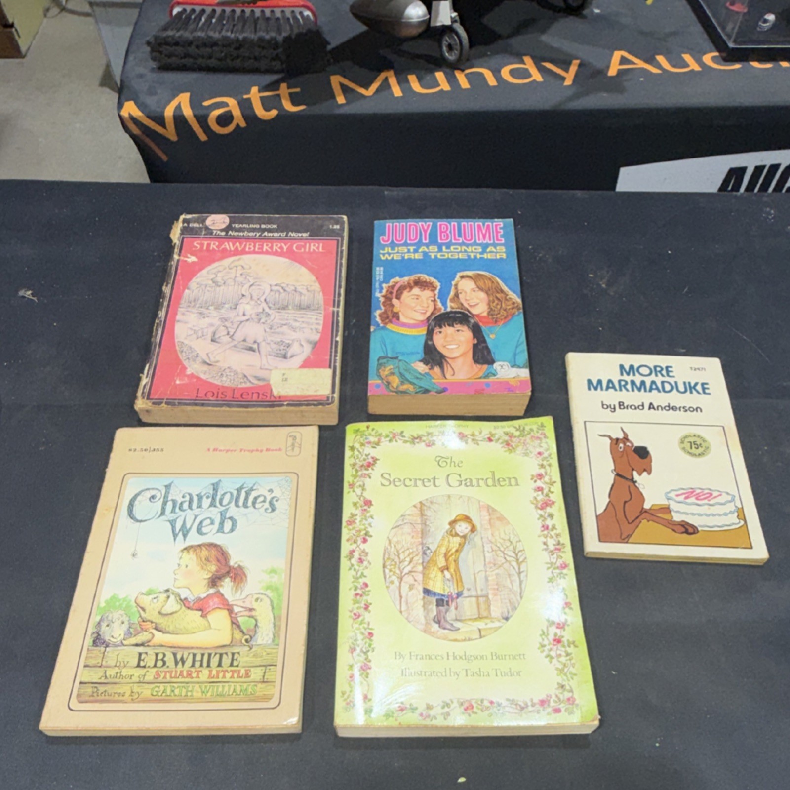 Vintage Children’s Fiction Paperback Lot – Lenski, Blume, White, Burnett, 5 Boo…