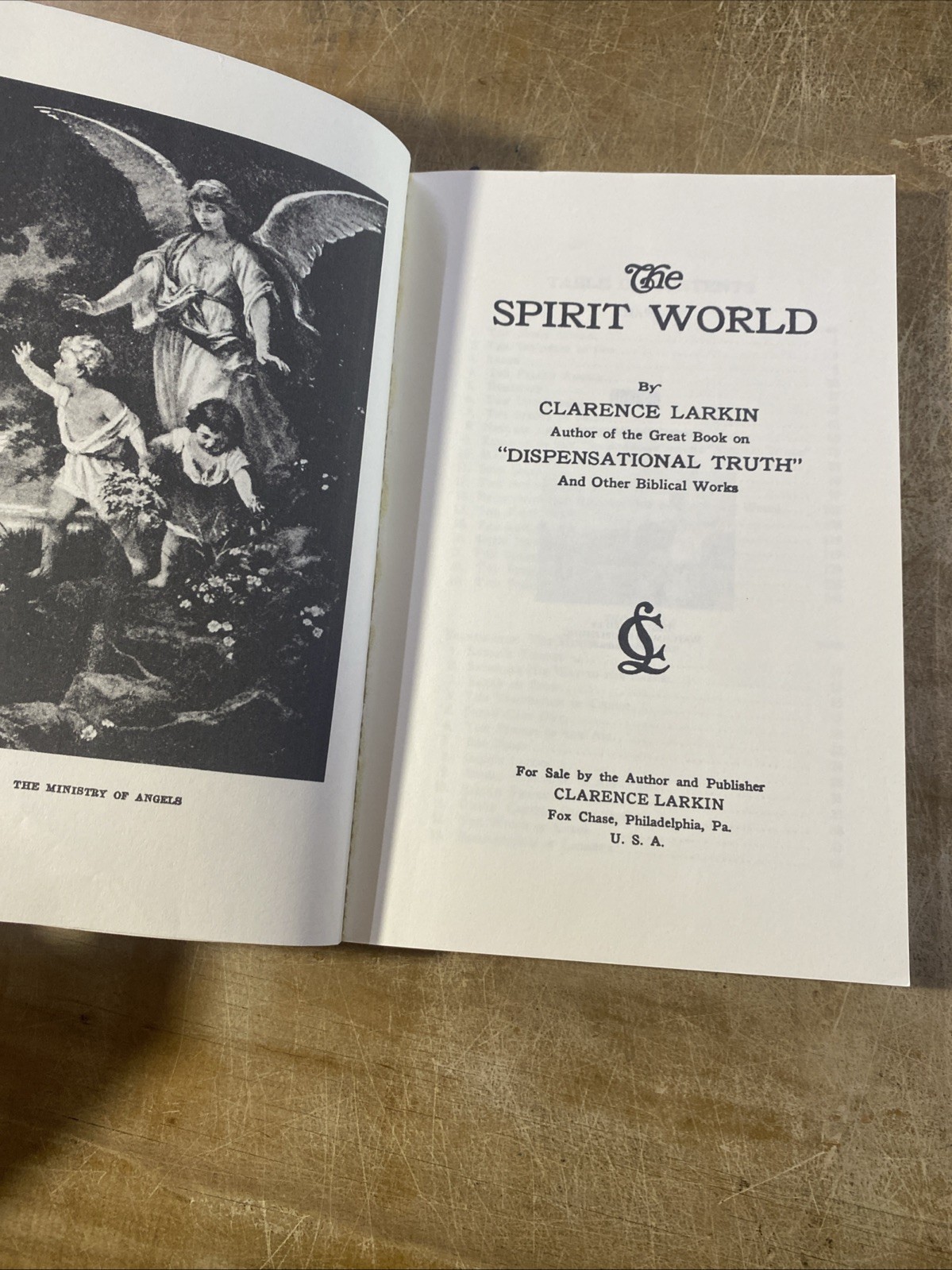 The Illustrated Spirit World by Clarence Larkin Trade Paperback 2012 LIKE NEW