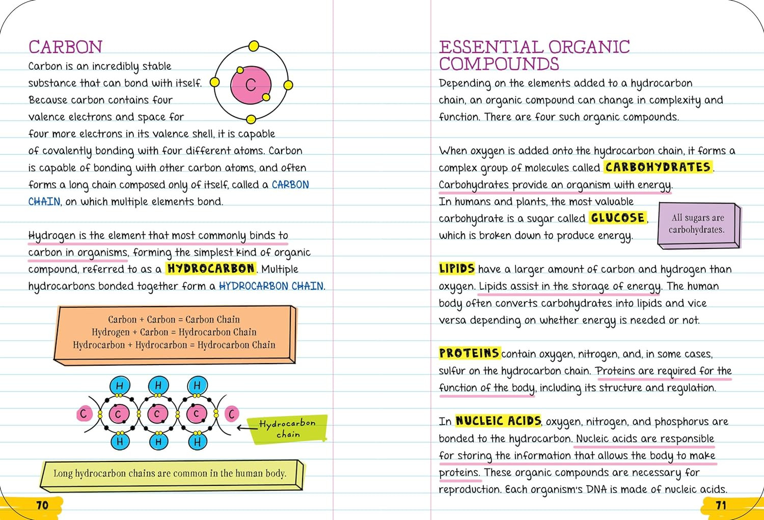 Everything You Need to Ace Biology in One Big Fat Notebook