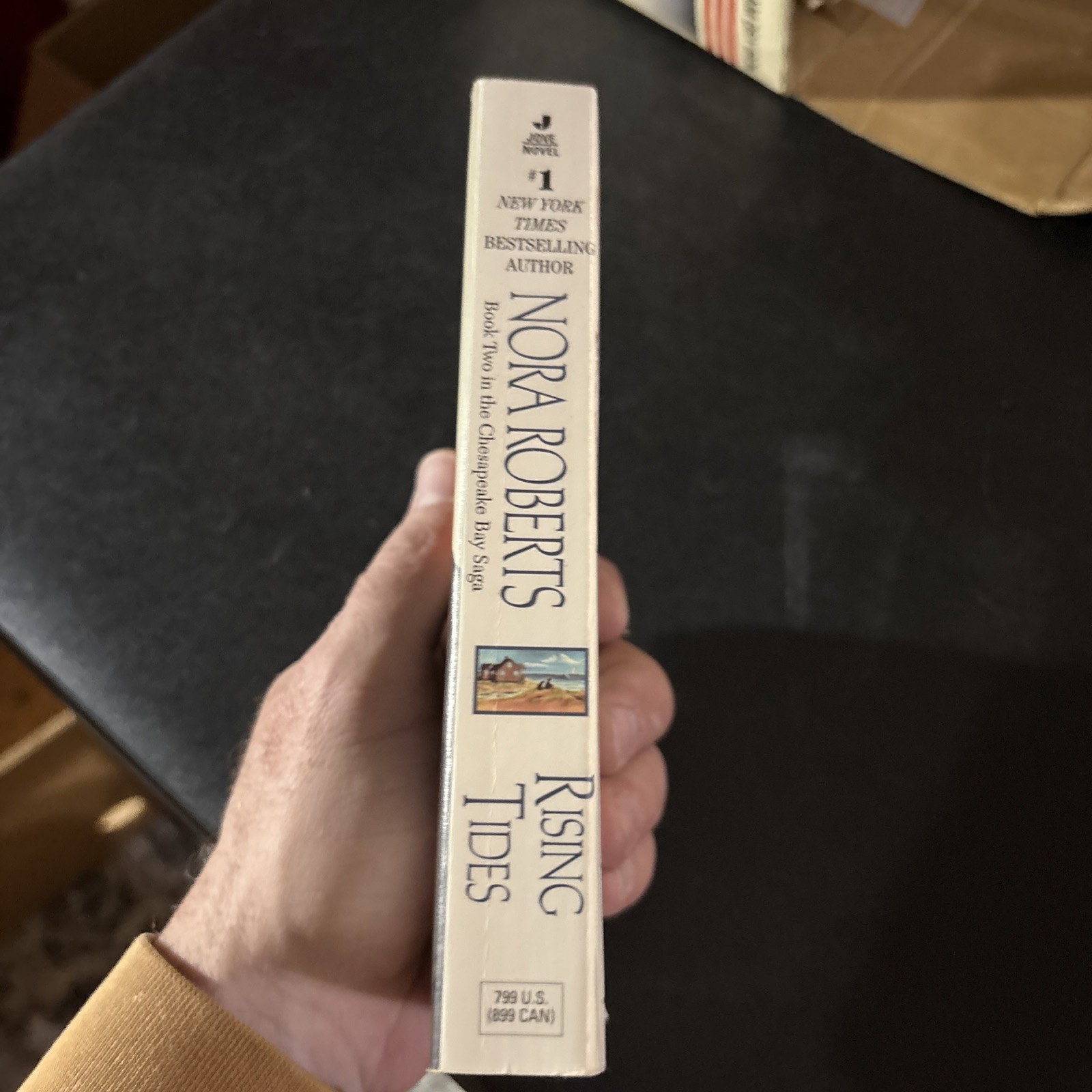 1998 „Rising Tides“ Book by Nora Roberts – Used, 342 Pages, Paperback