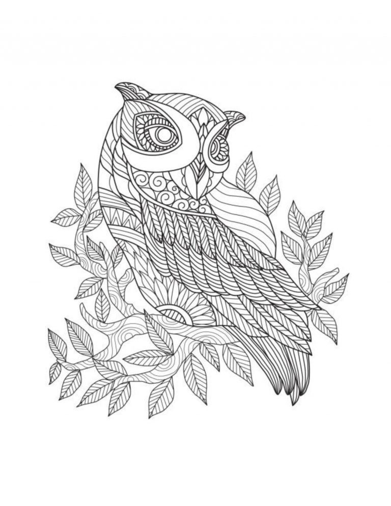 Best Save the Owls Coloring Save the Planet Series 108 Pages 8.5 x 11 All Ages
