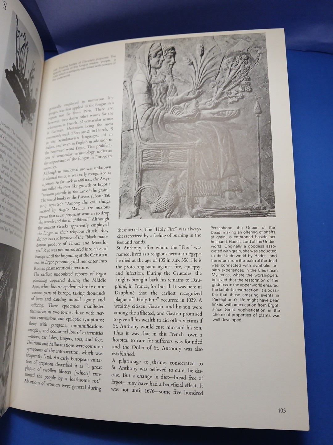Plants of the Gods Origins of Hallucinogenic Use Schultes Evans Hoffman 1979
