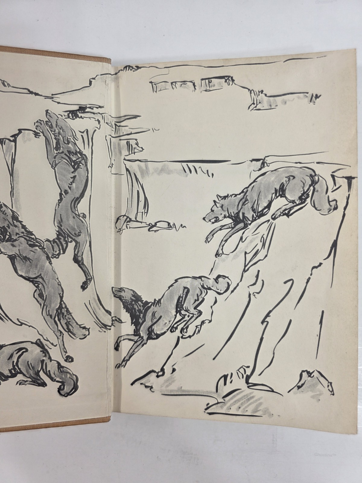 Wild Animals of the Five Rivers Country George Franklin 1947 Mary Ogden Abbott