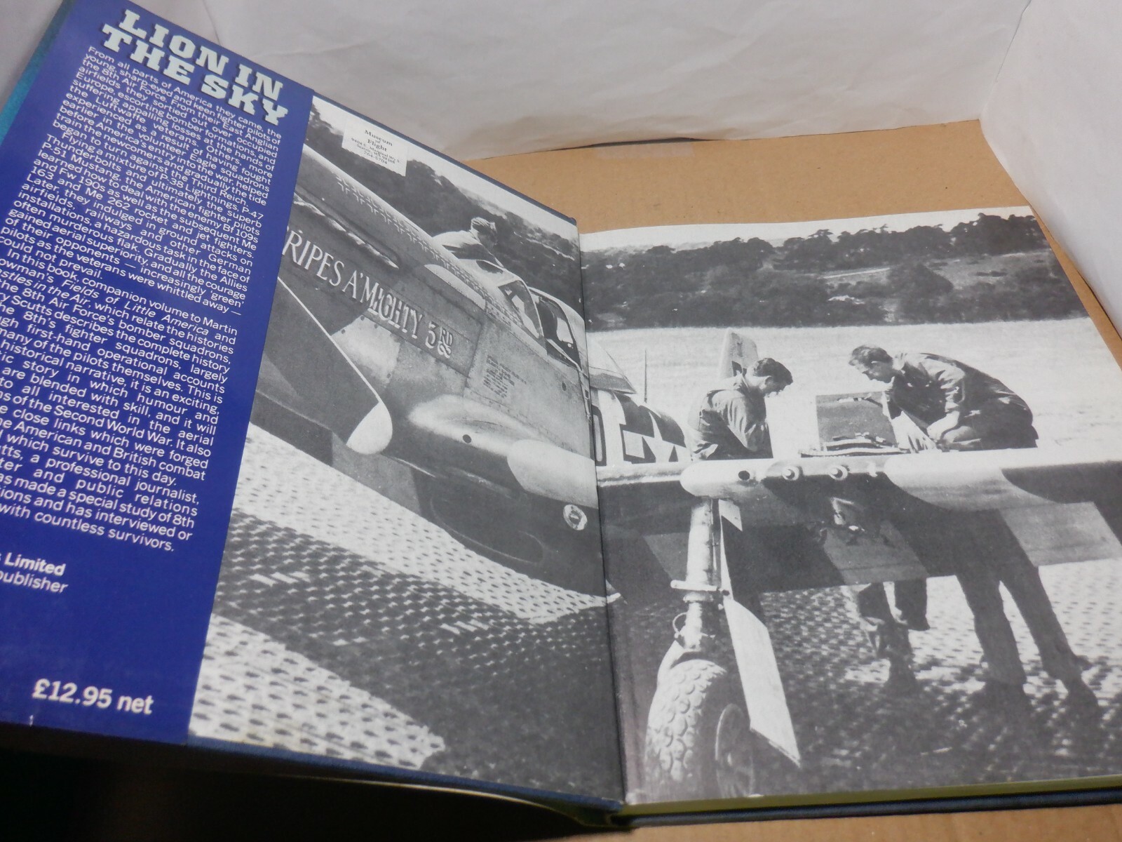 „LION IN THE SKY“ 8TH AIR FORCE OPERATIONS AIRCRAFT FIGHTER PLANE BOOK WWII