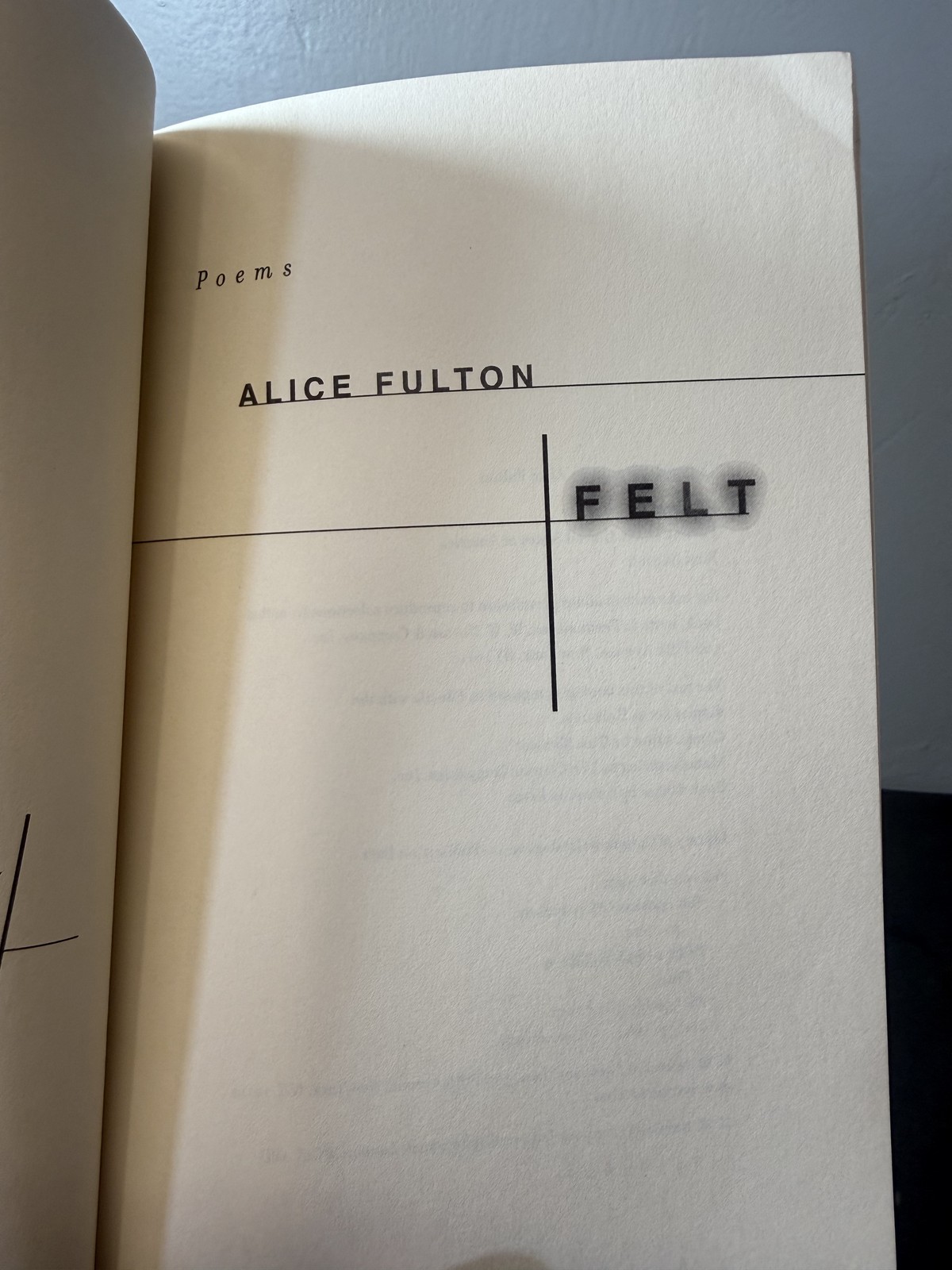 Felt Poems by Alice Fulton First Edition 2001 W. W. Norton Paperback Poetry Book