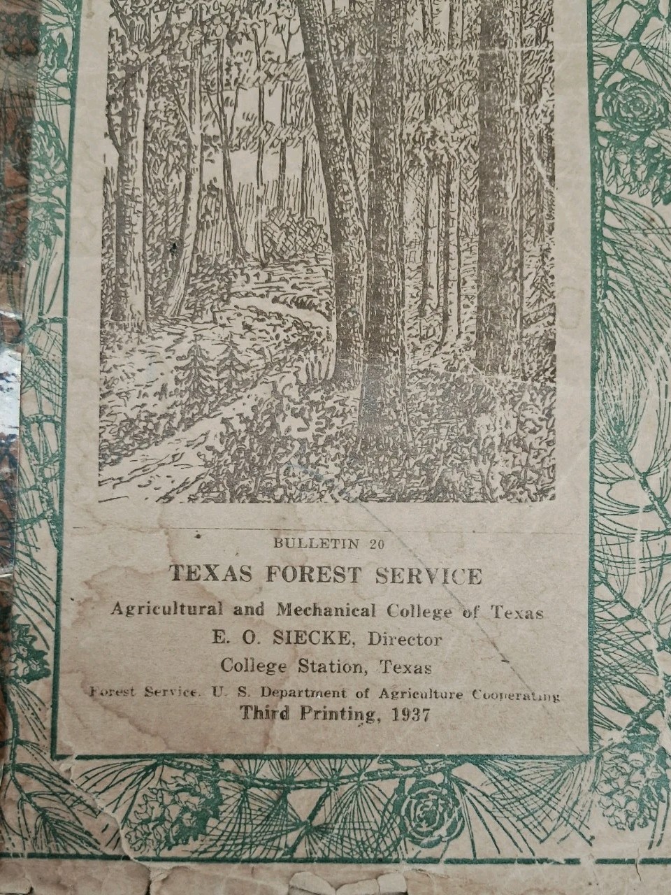 Frest Trees of Texas, Vintage Booklet, College Station, Texas 1937
