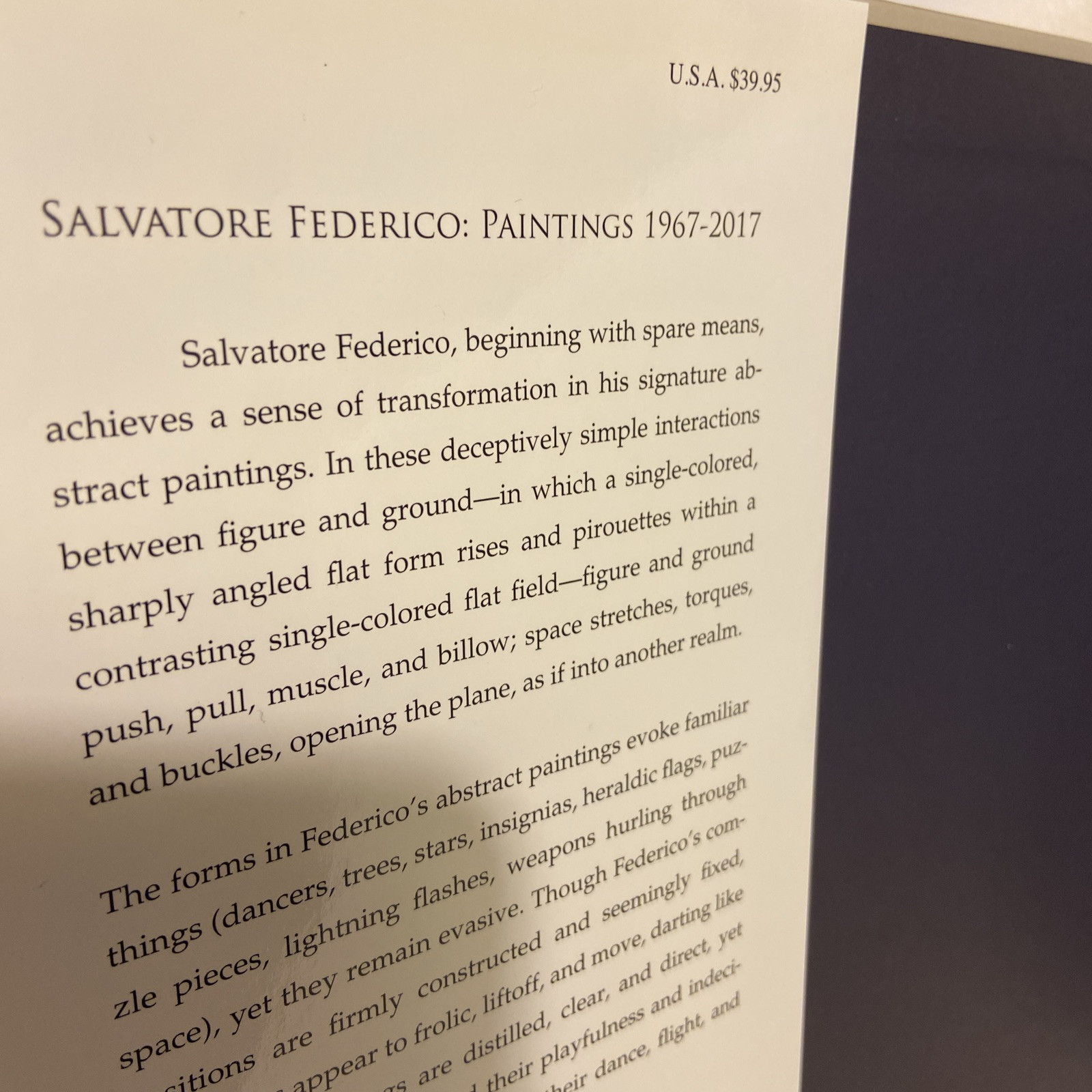 Salvatore Federico. Paintings. 2019. 130 Pg 10×10.5 Art Book