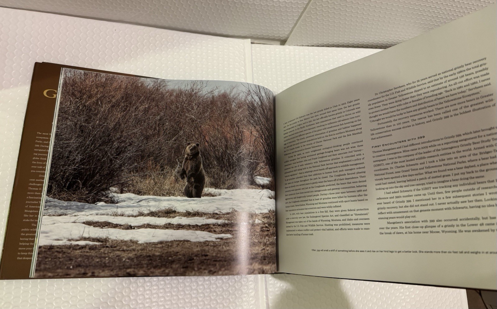 Grizzly 399: World’s Most Famous Mother Bear, The by Thomas D. Mangelsen HC .