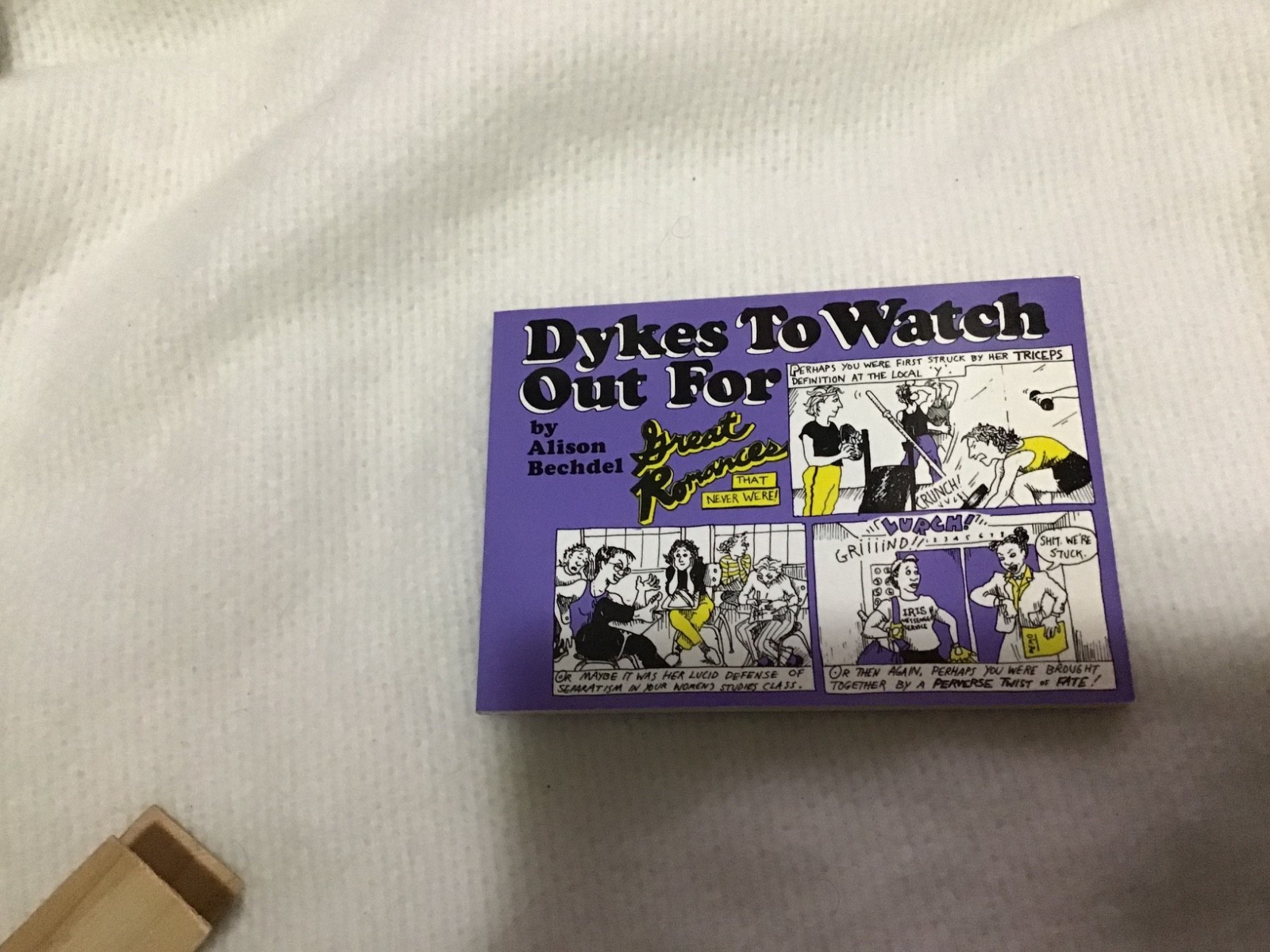 Whoa! Alison Bechdel lot of 12! Signed DTWOF Books! Titles in PIX & Description