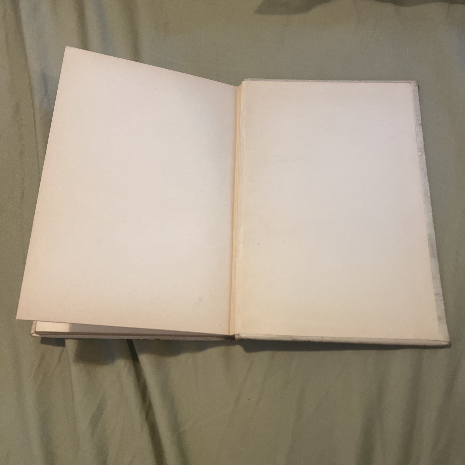 A Provence Rose 1900 By Ouida [Leather Bound]