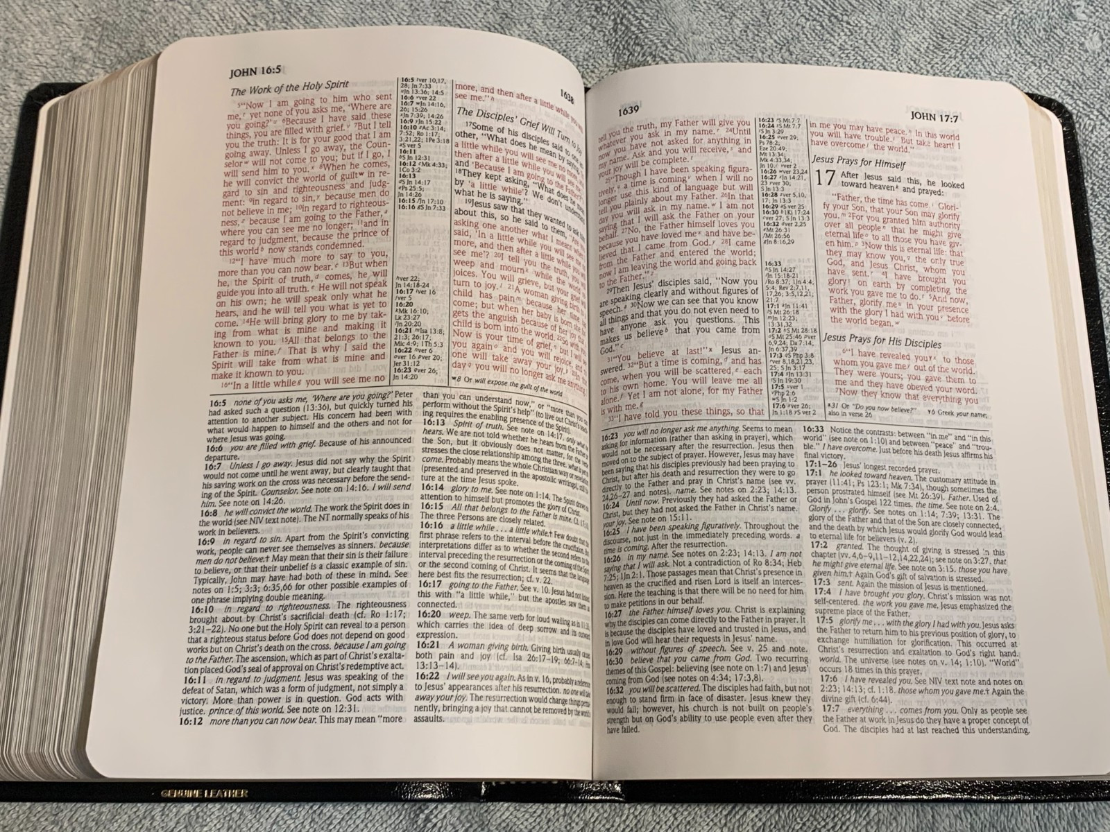 Concordia Self-Study Bible NIV Lutheran (Red Letter Ed.) Genuine Leather/Gilt