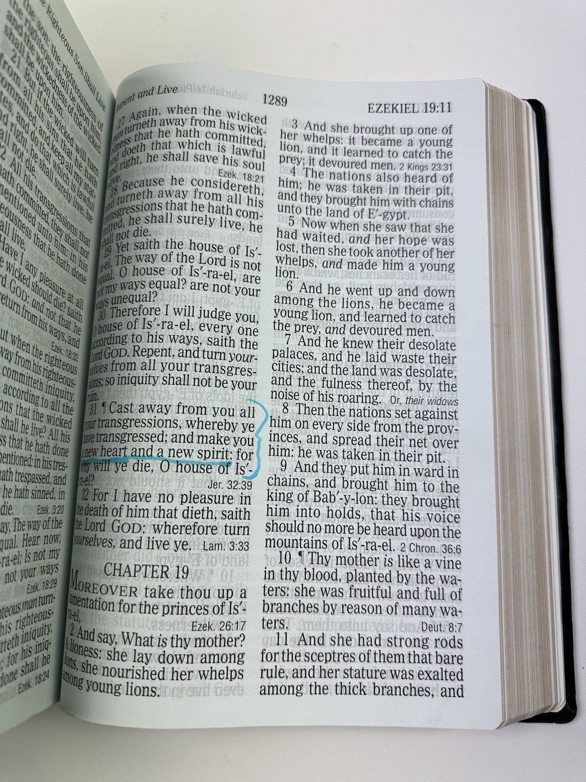 Holy Bible, KJV, Super Giant Print Reference Edition, 10.5” Inch, Holman, 1996